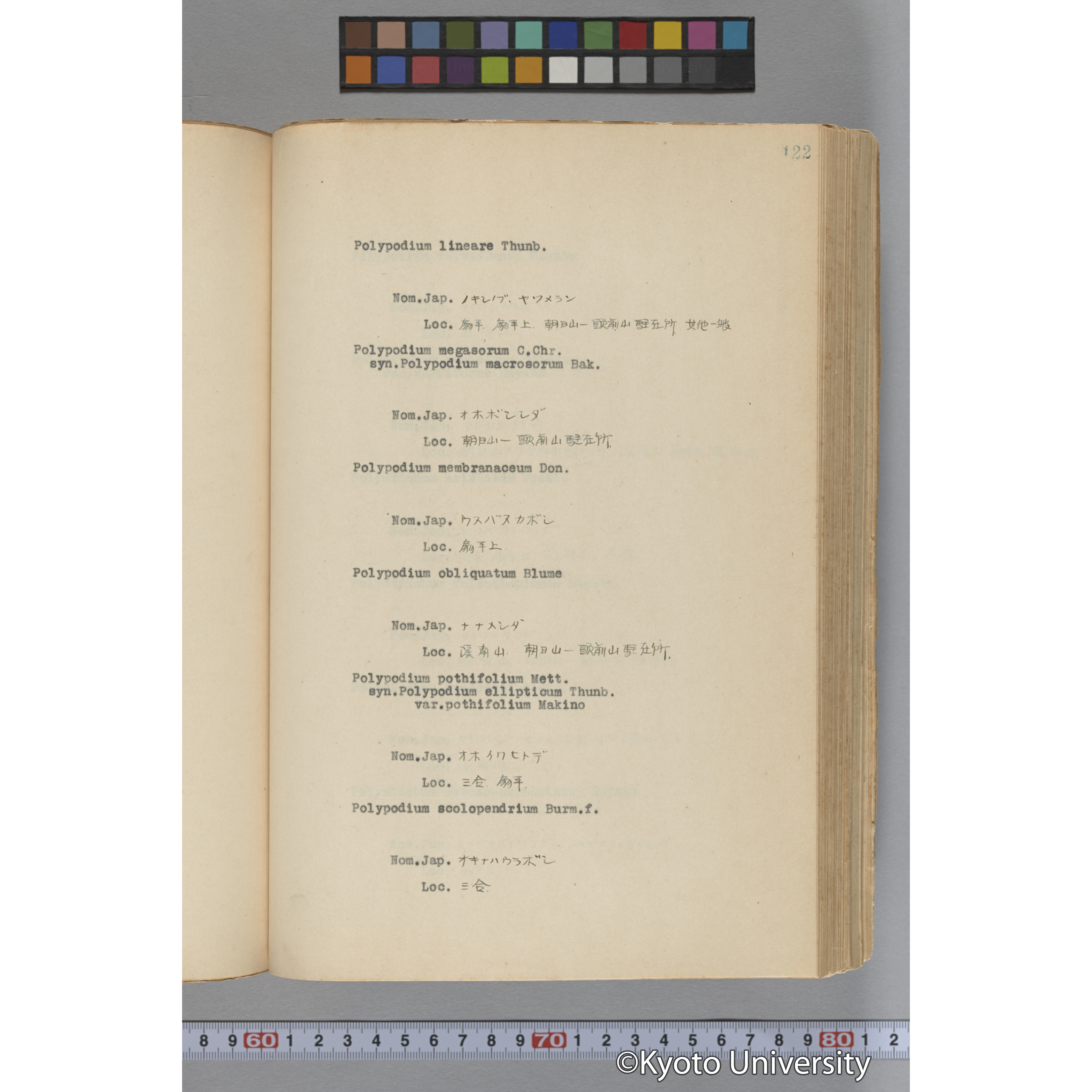 台湾演習林植物調査報告. 第一予報. 1931 植物調査班 (169)