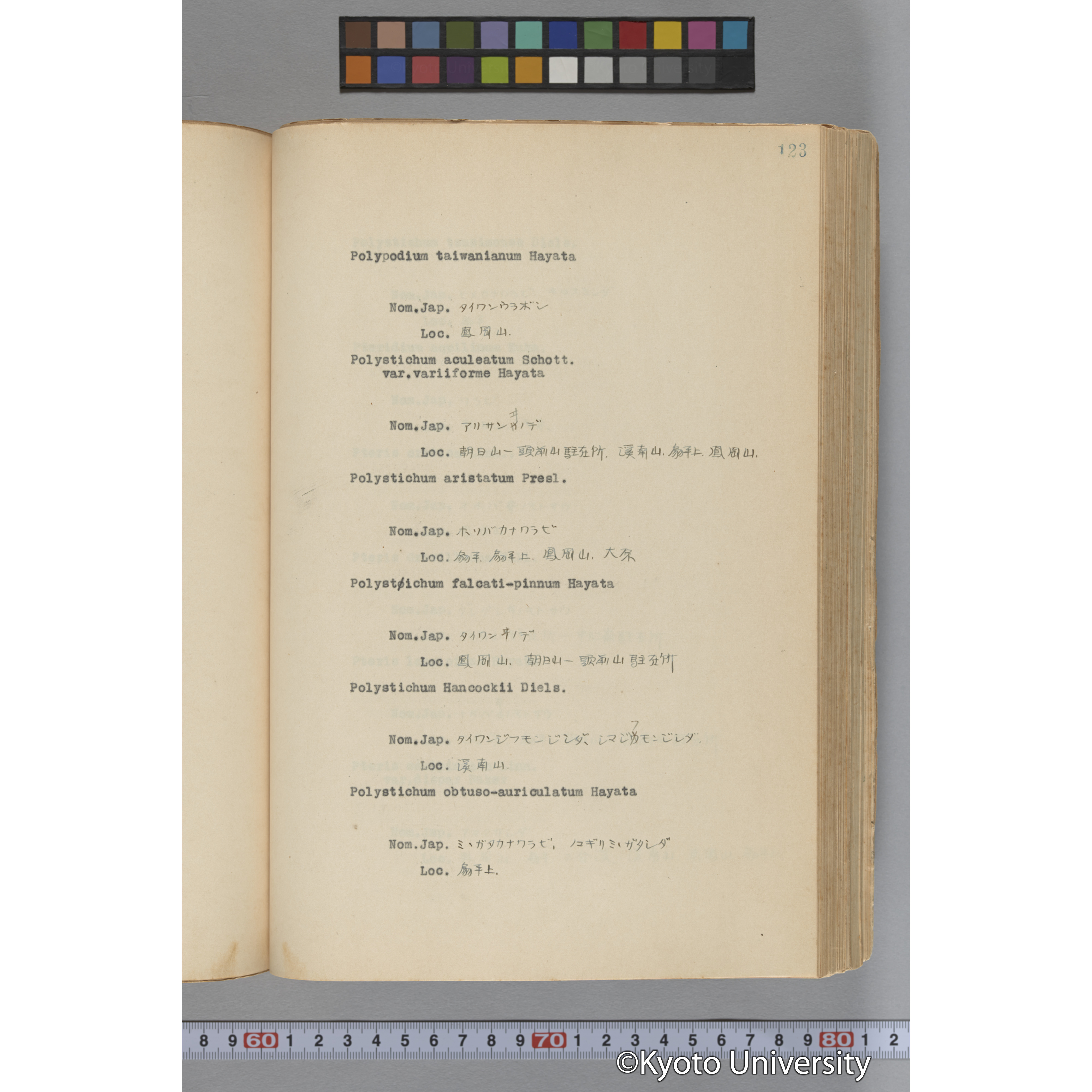 台湾演習林植物調査報告. 第一予報. 1931 植物調査班 (170)