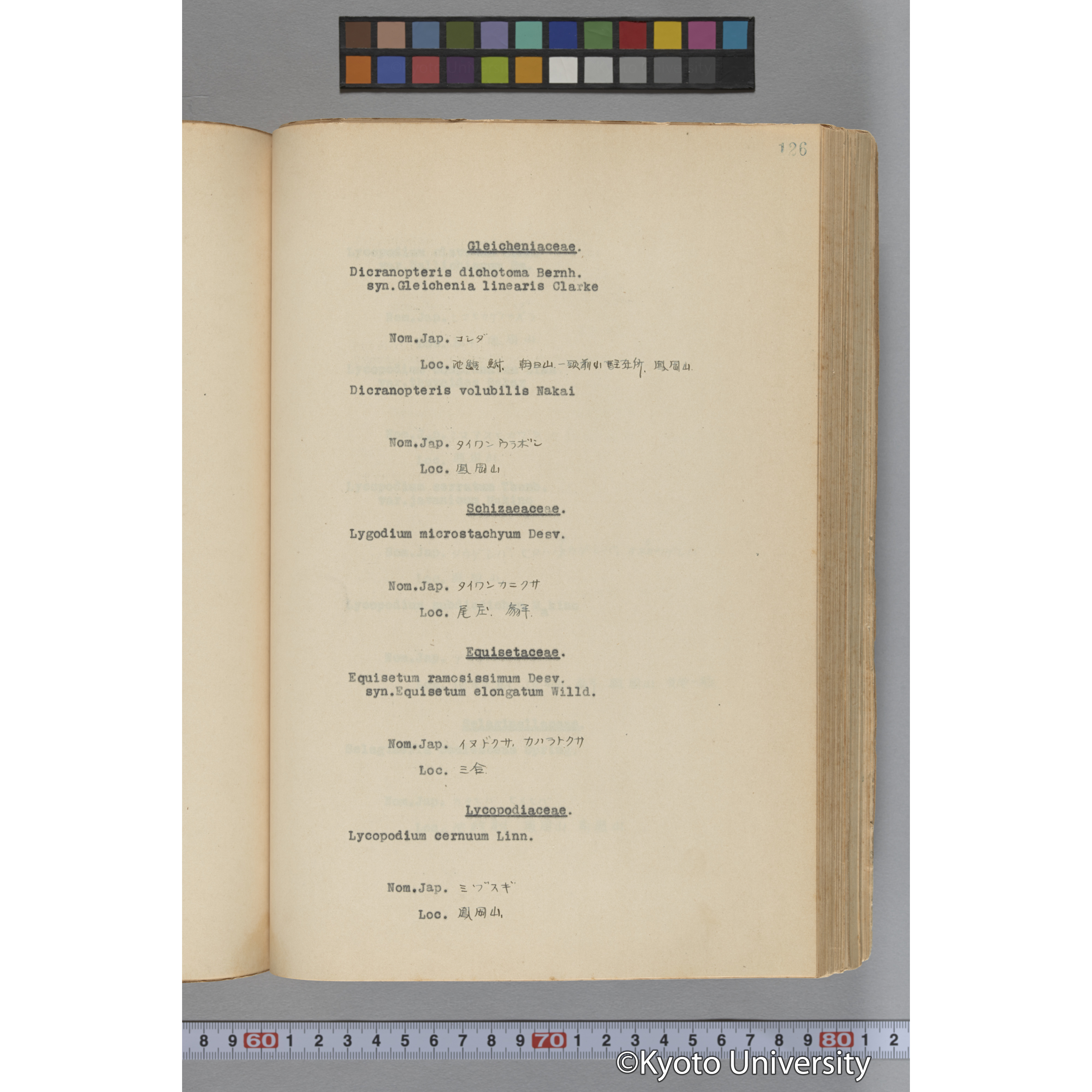 台湾演習林植物調査報告. 第一予報. 1931 植物調査班 (173)