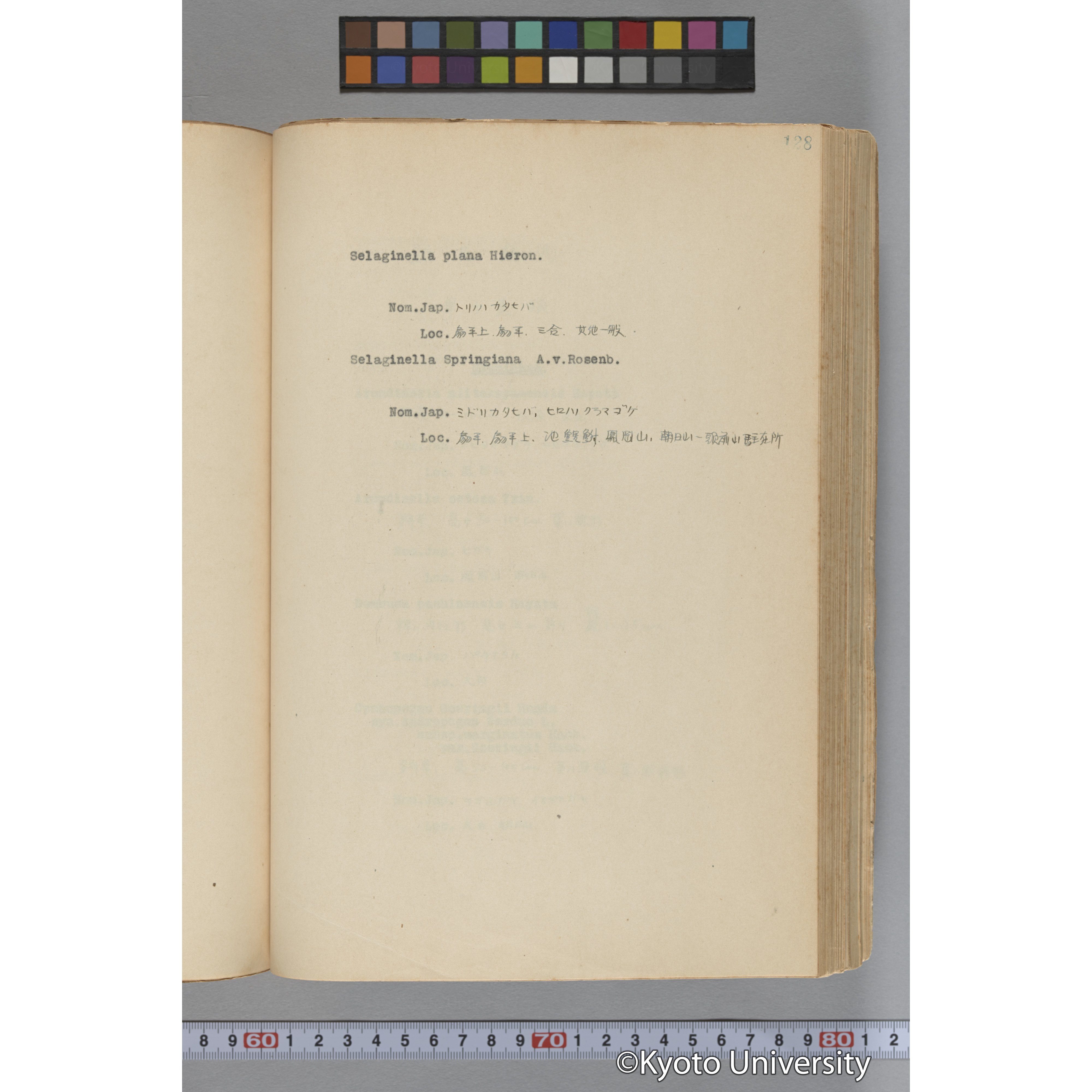 台湾演習林植物調査報告. 第一予報. 1931 植物調査班 (175)