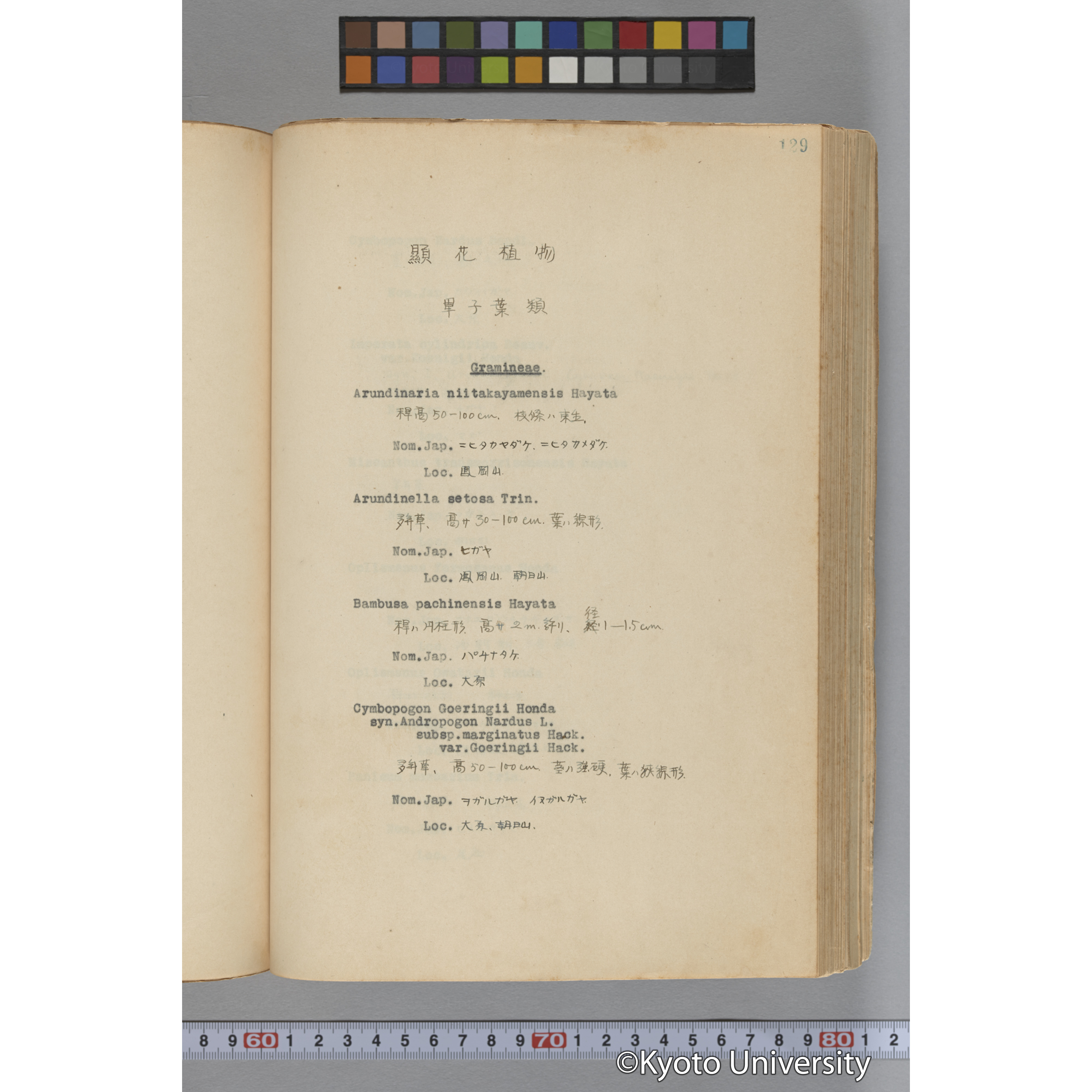 台湾演習林植物調査報告. 第一予報. 1931 植物調査班 (176)