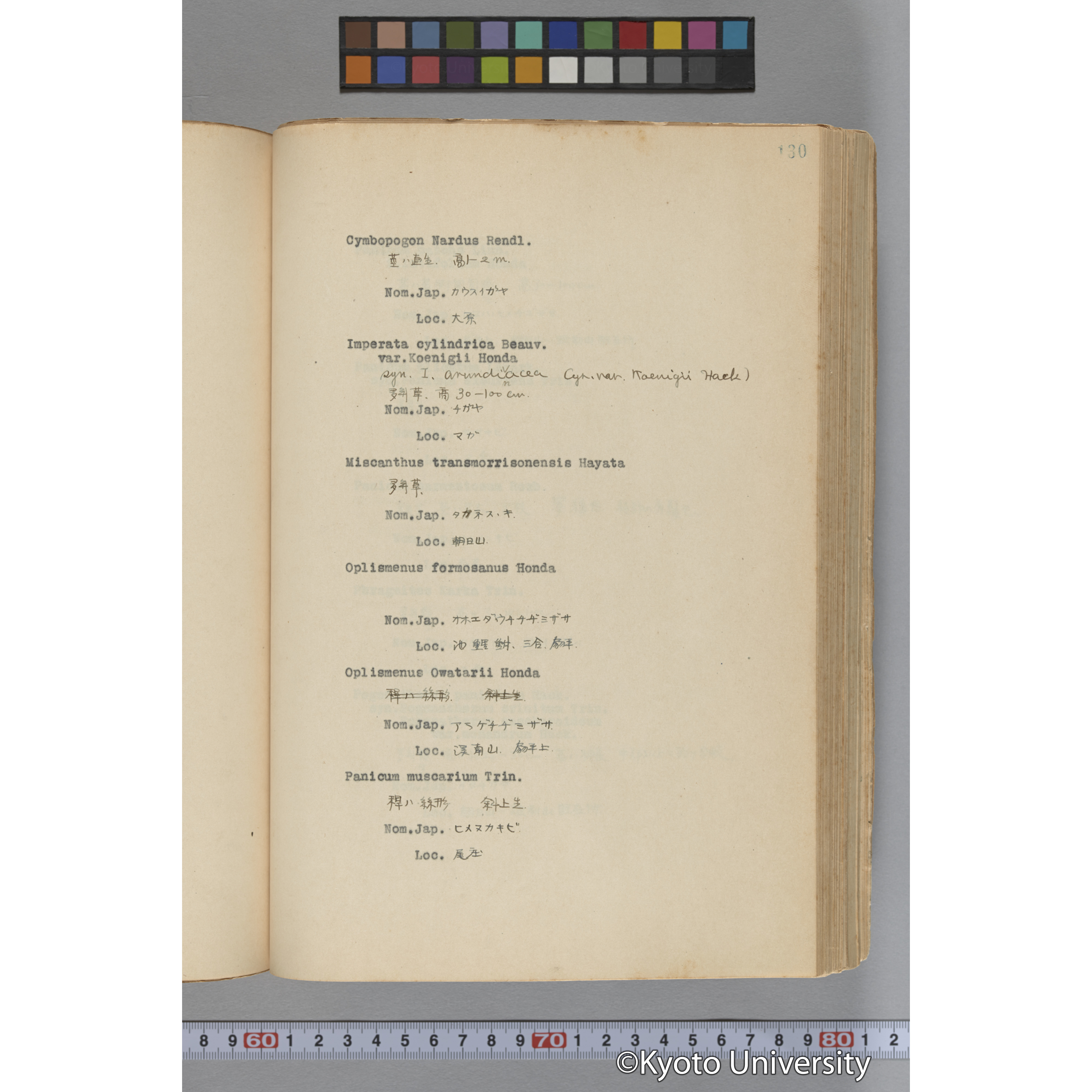 台湾演習林植物調査報告. 第一予報. 1931 植物調査班 (177)