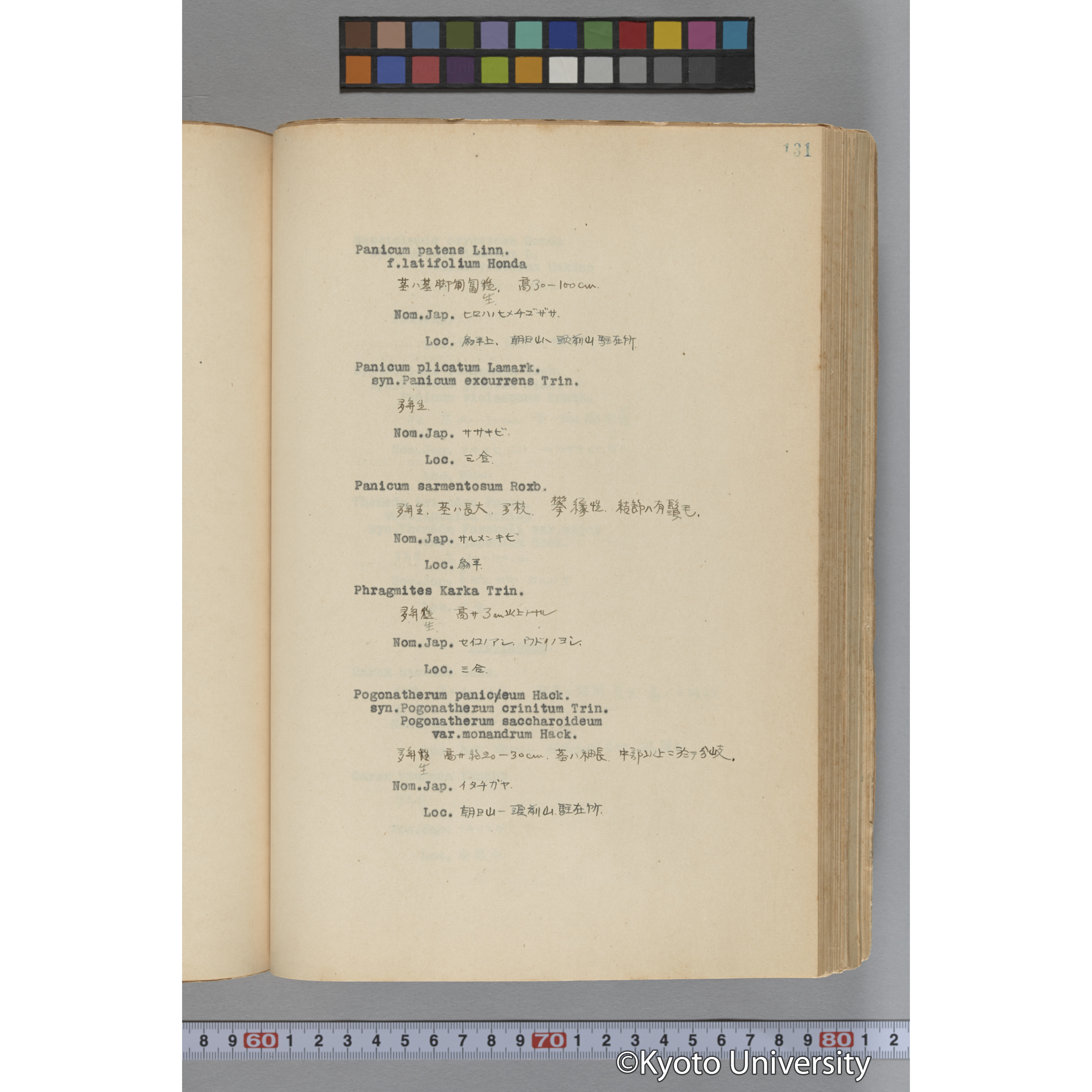 台湾演習林植物調査報告. 第一予報. 1931 植物調査班 (178)