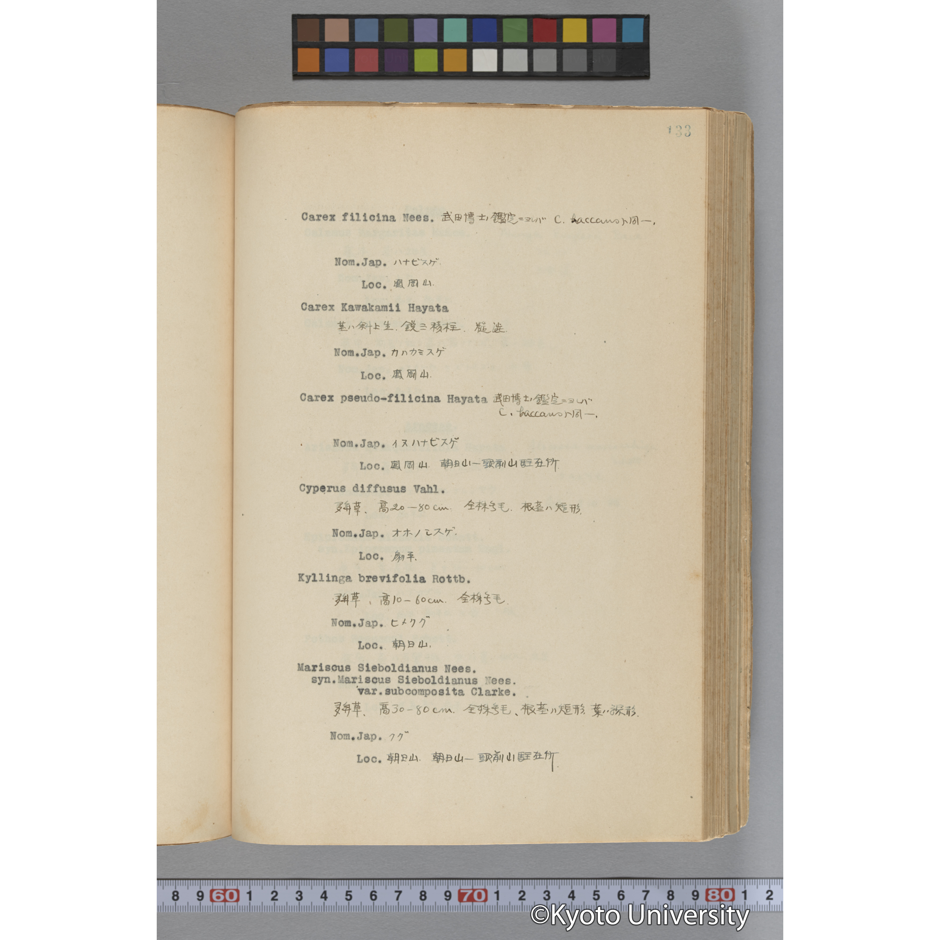 台湾演習林植物調査報告. 第一予報. 1931 植物調査班 (180)