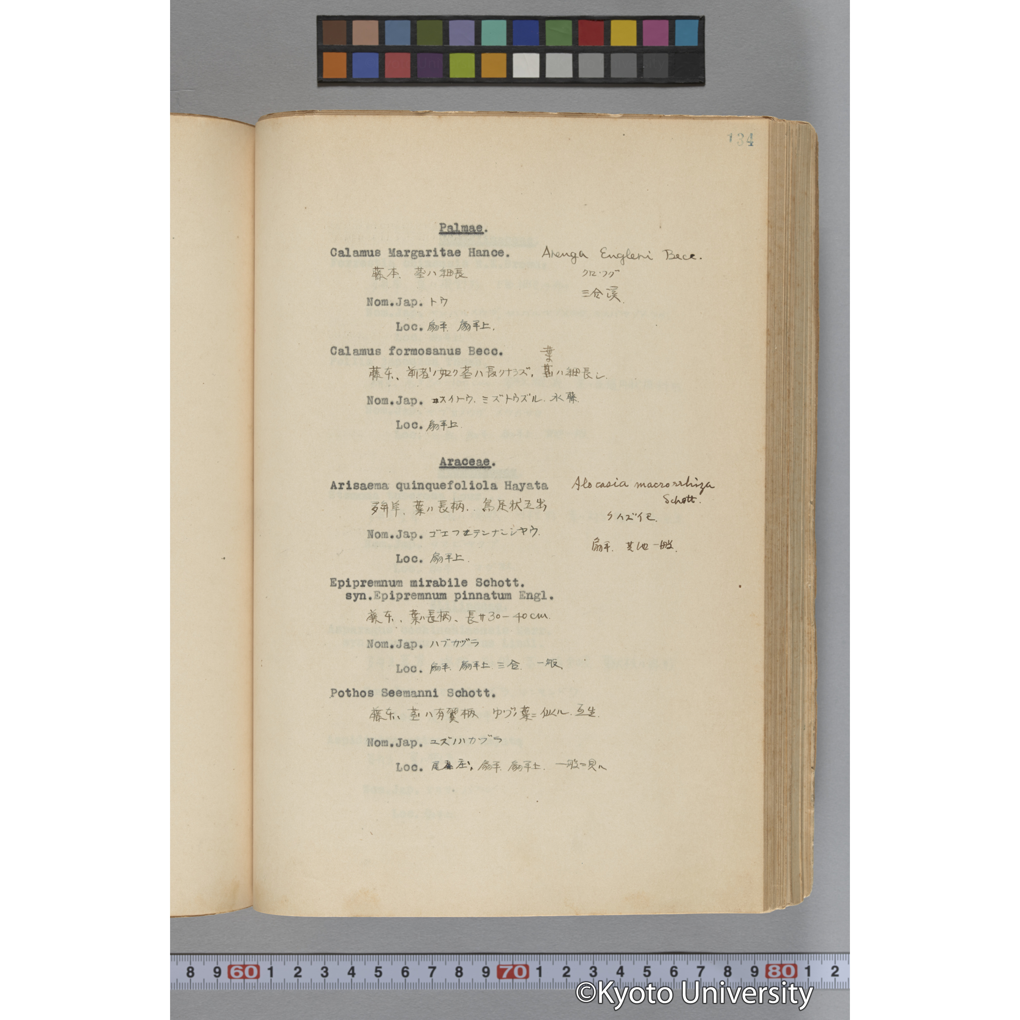 台湾演習林植物調査報告. 第一予報. 1931 植物調査班 (181)