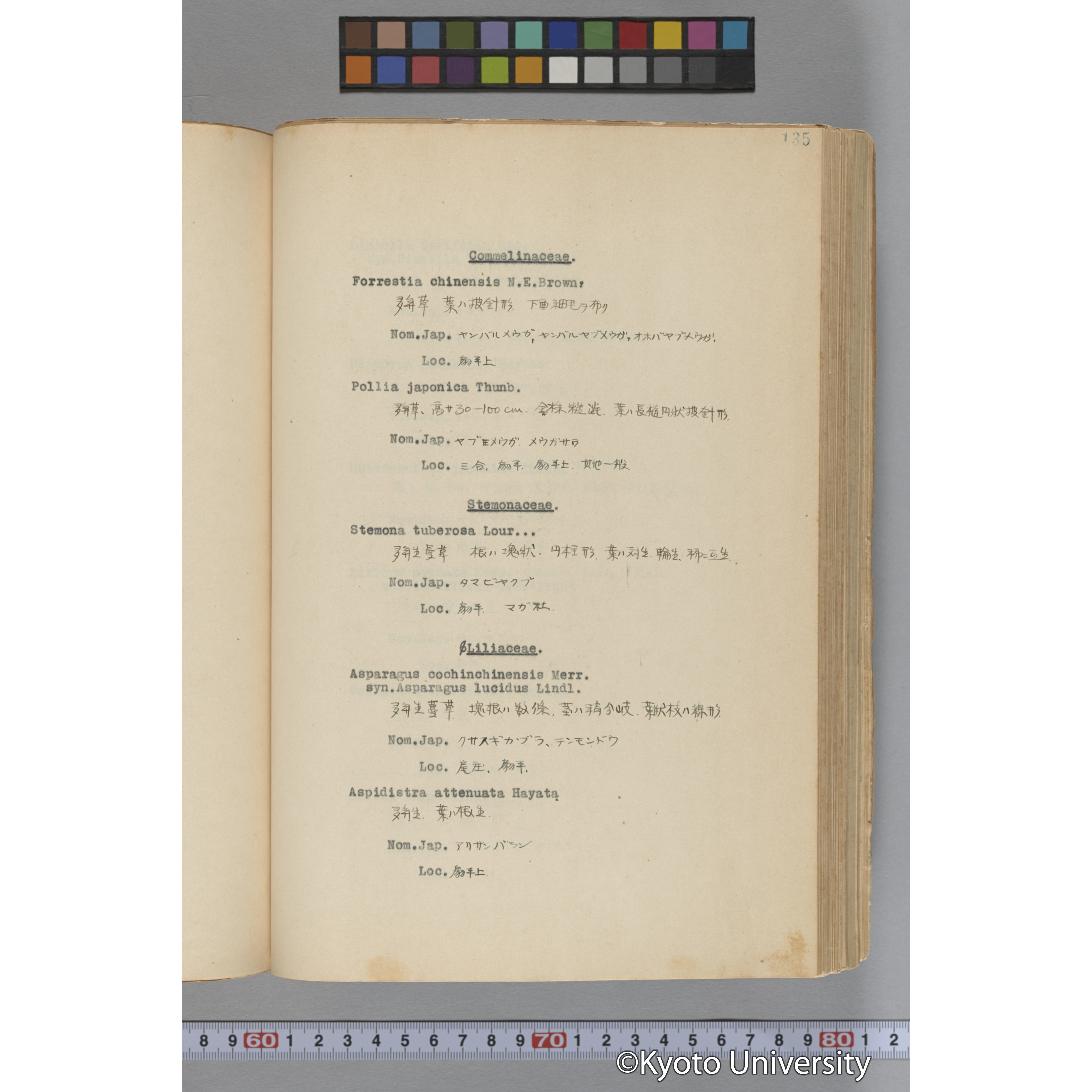 台湾演習林植物調査報告. 第一予報. 1931 植物調査班 (182)