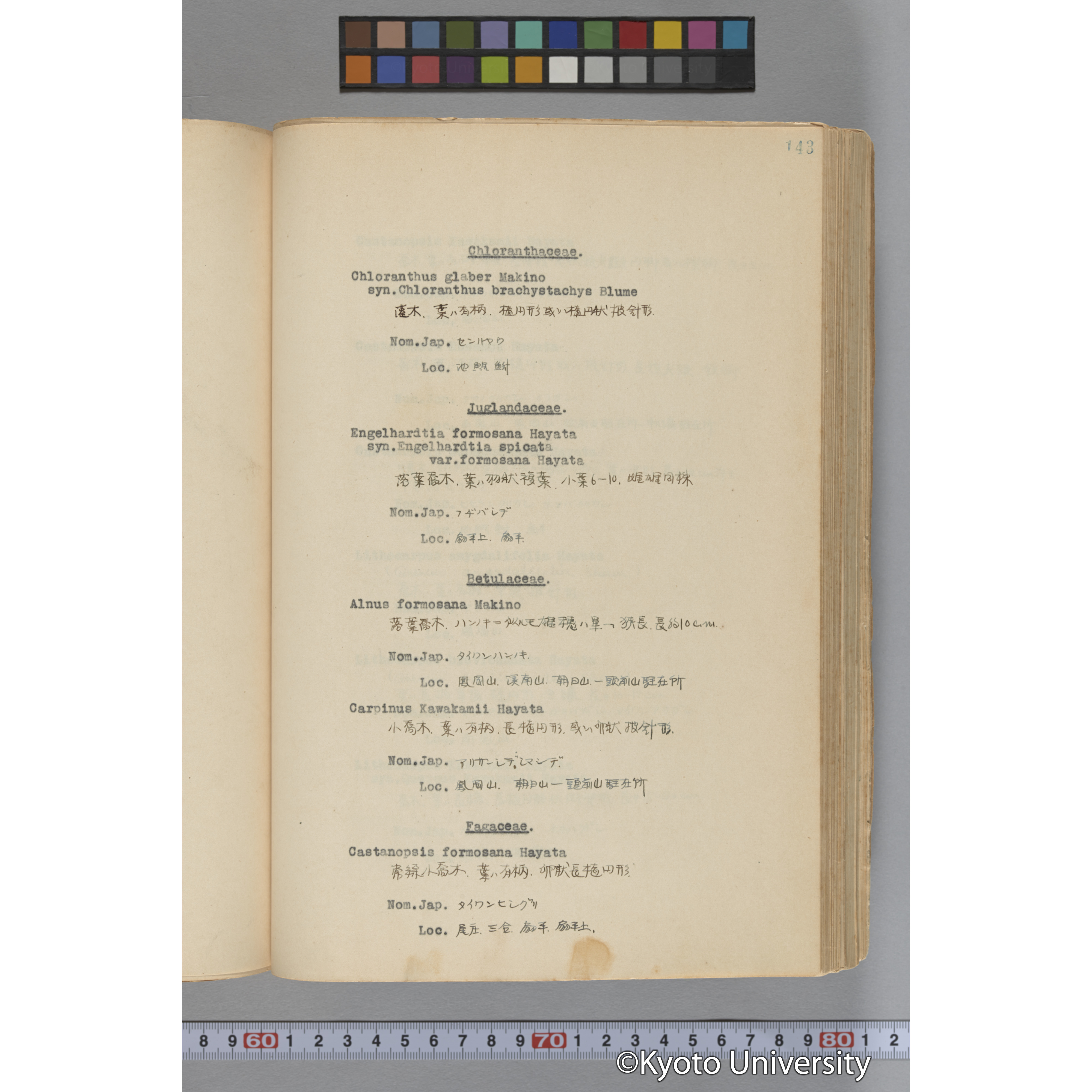 台湾演習林植物調査報告. 第一予報. 1931 植物調査班 (190)