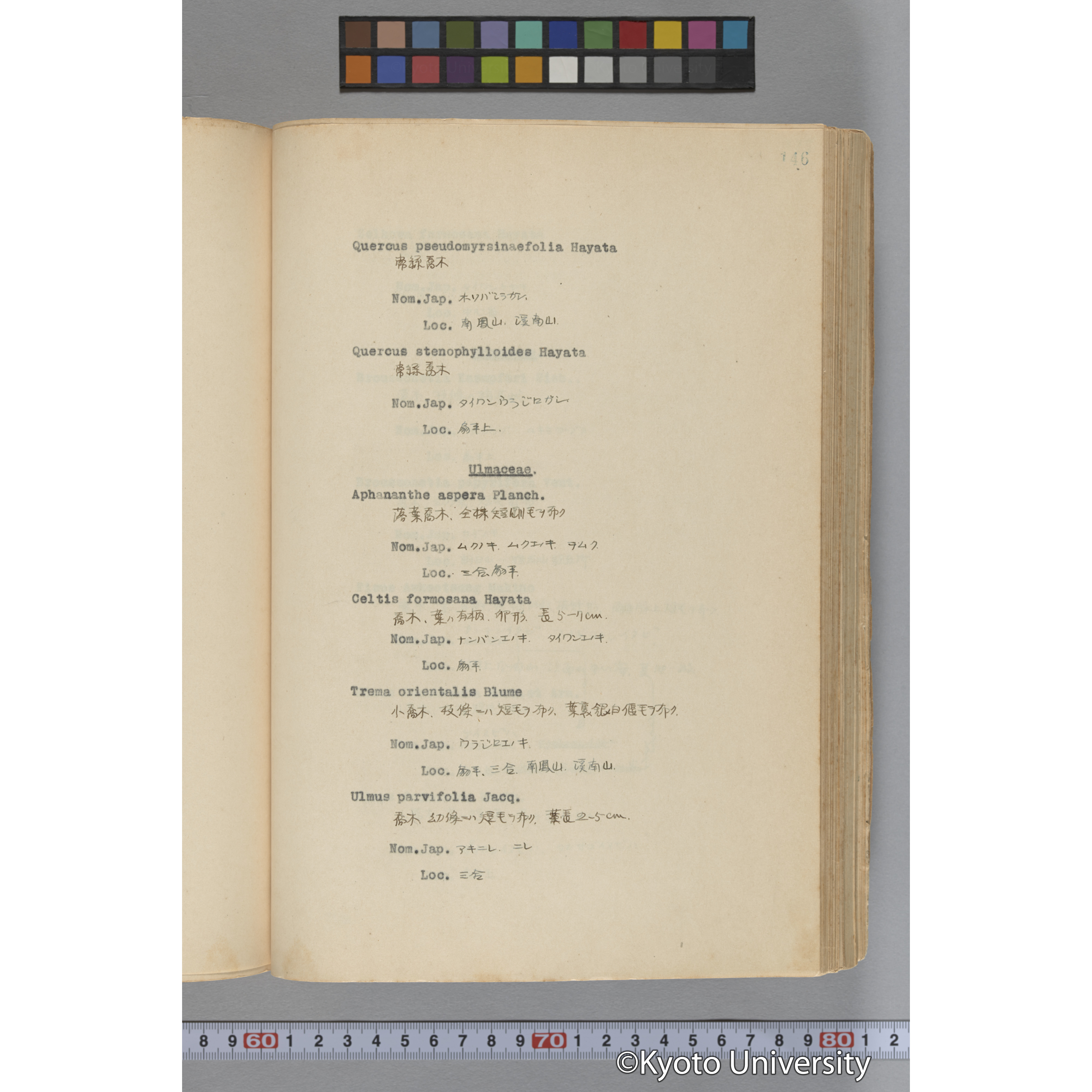 台湾演習林植物調査報告. 第一予報. 1931 植物調査班 (193)