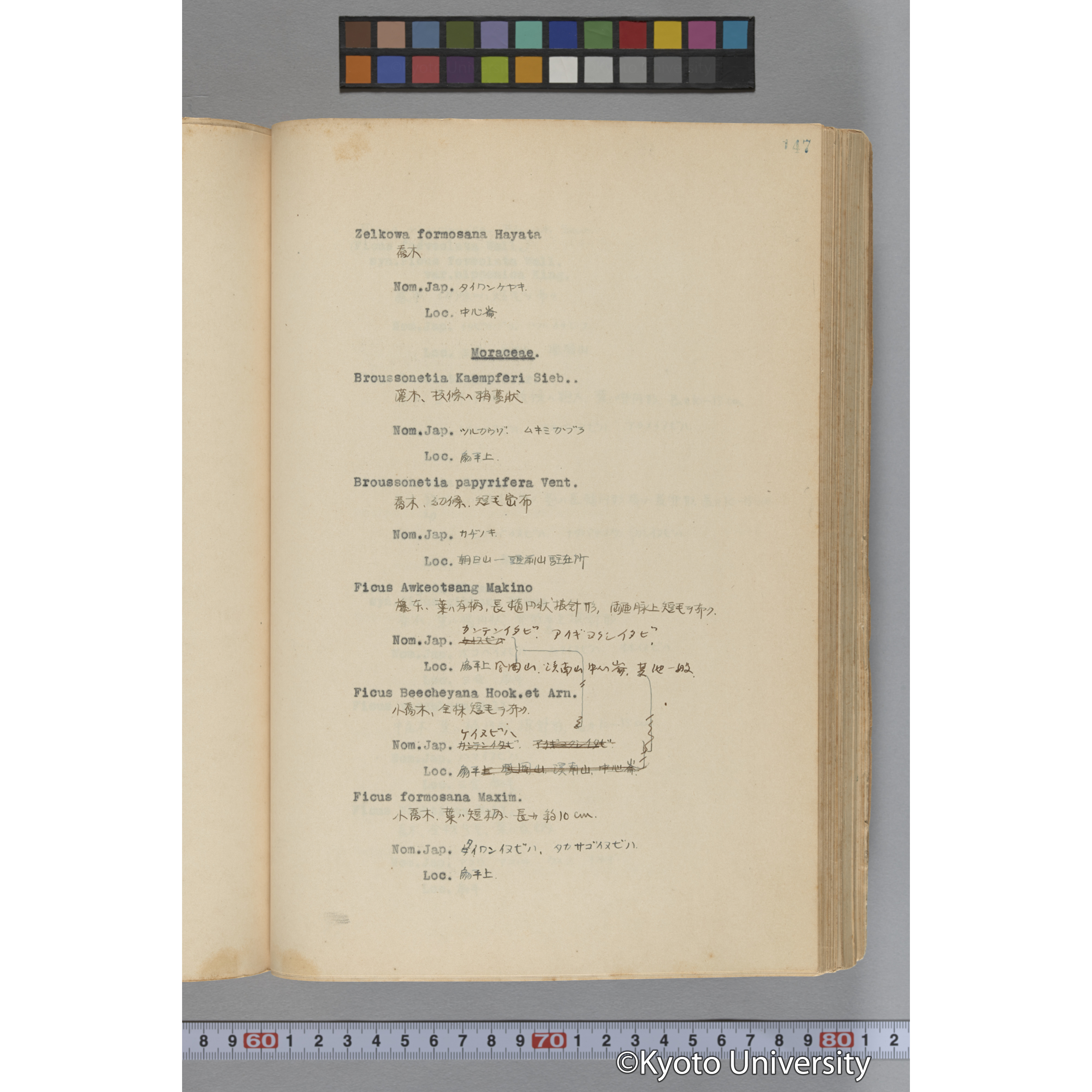 台湾演習林植物調査報告. 第一予報. 1931 植物調査班 (194)