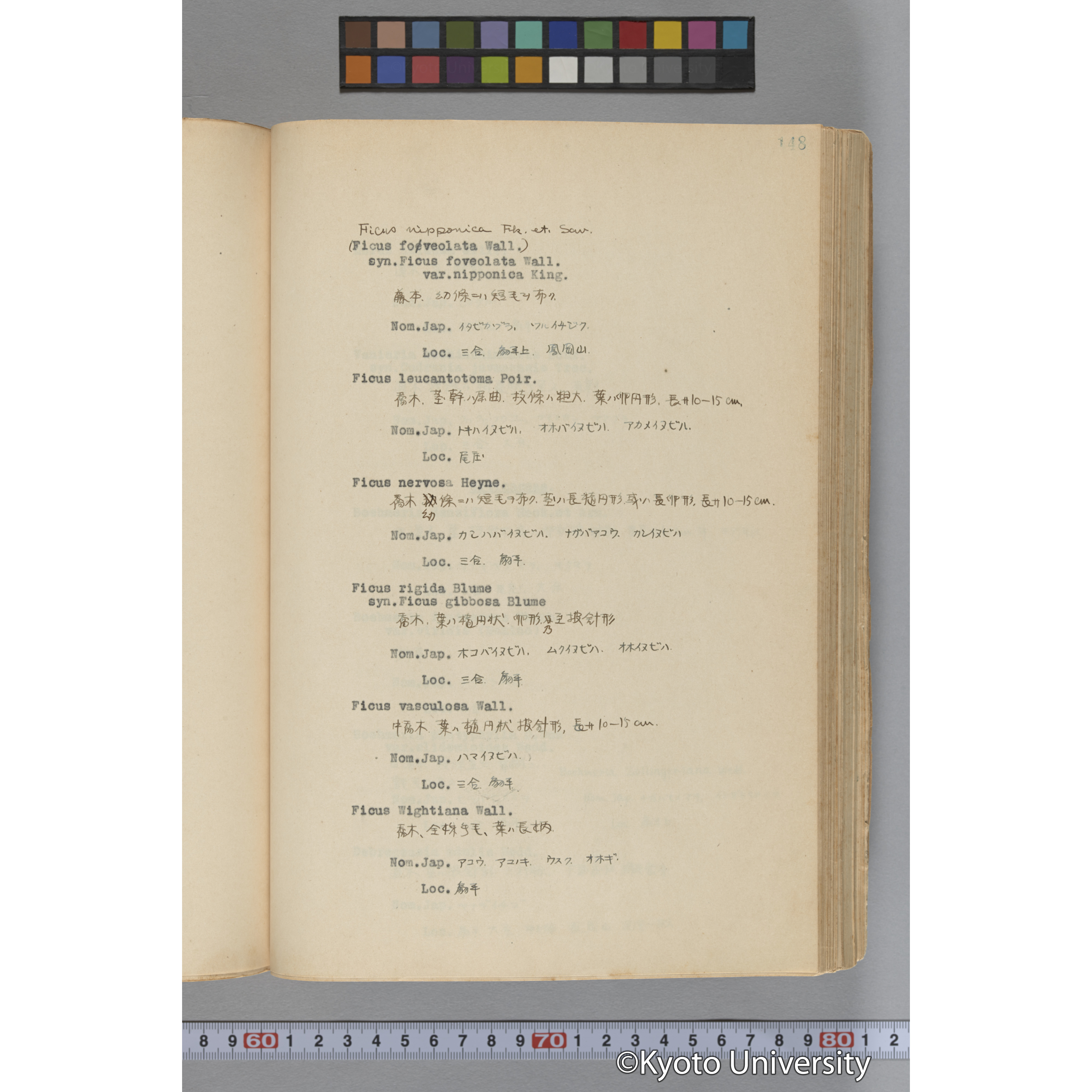 台湾演習林植物調査報告. 第一予報. 1931 植物調査班 (195)