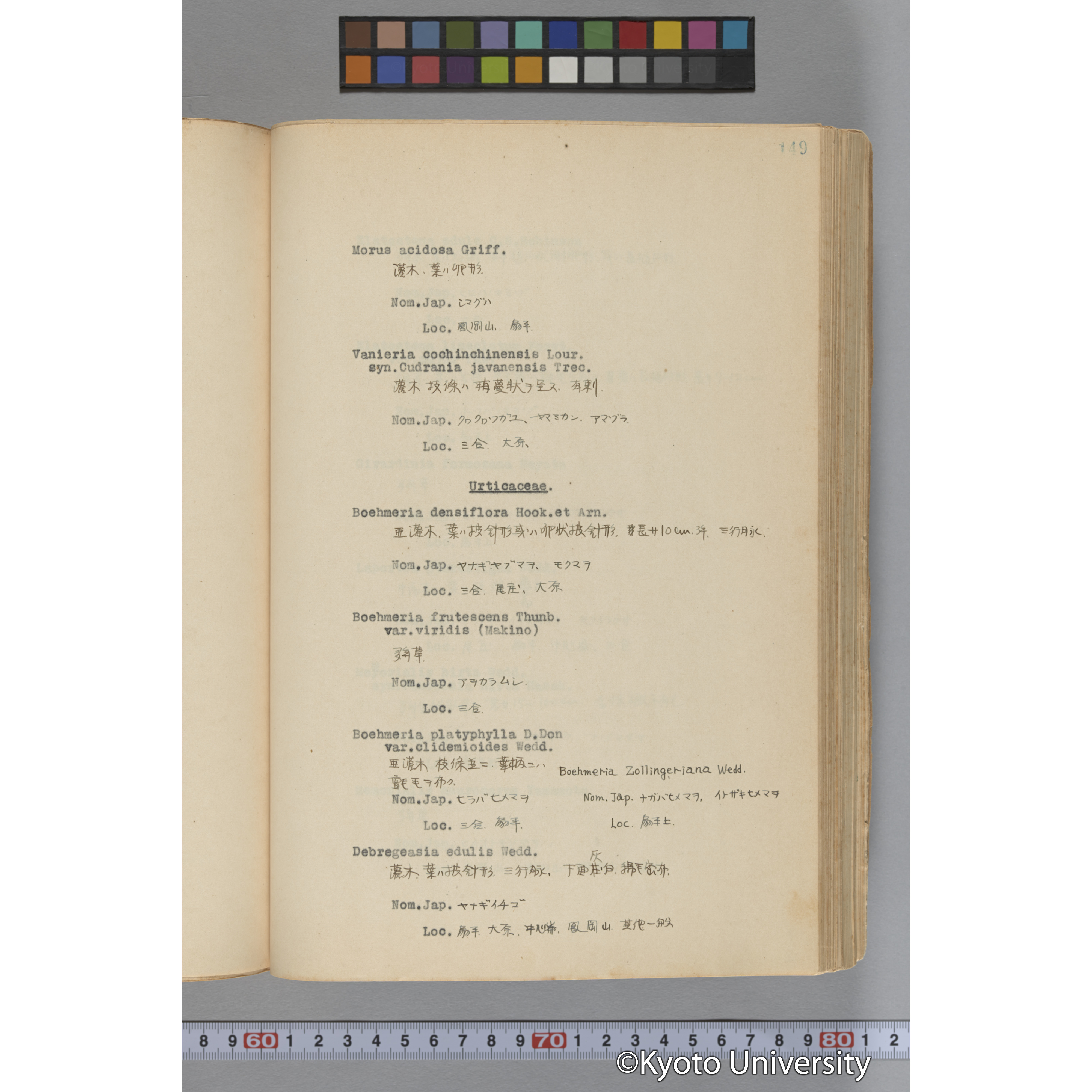 台湾演習林植物調査報告. 第一予報. 1931 植物調査班 (196)