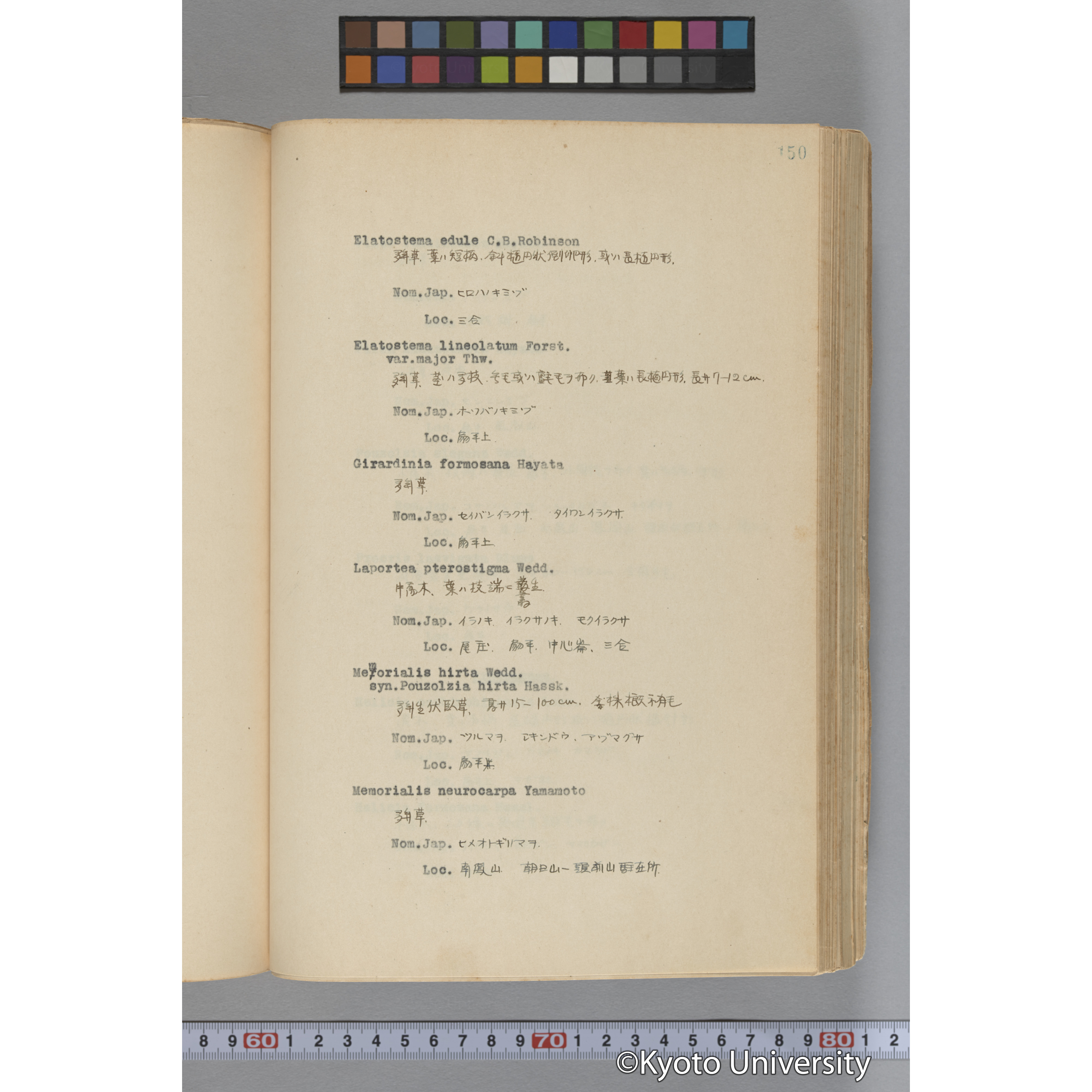 台湾演習林植物調査報告. 第一予報. 1931 植物調査班 (197)