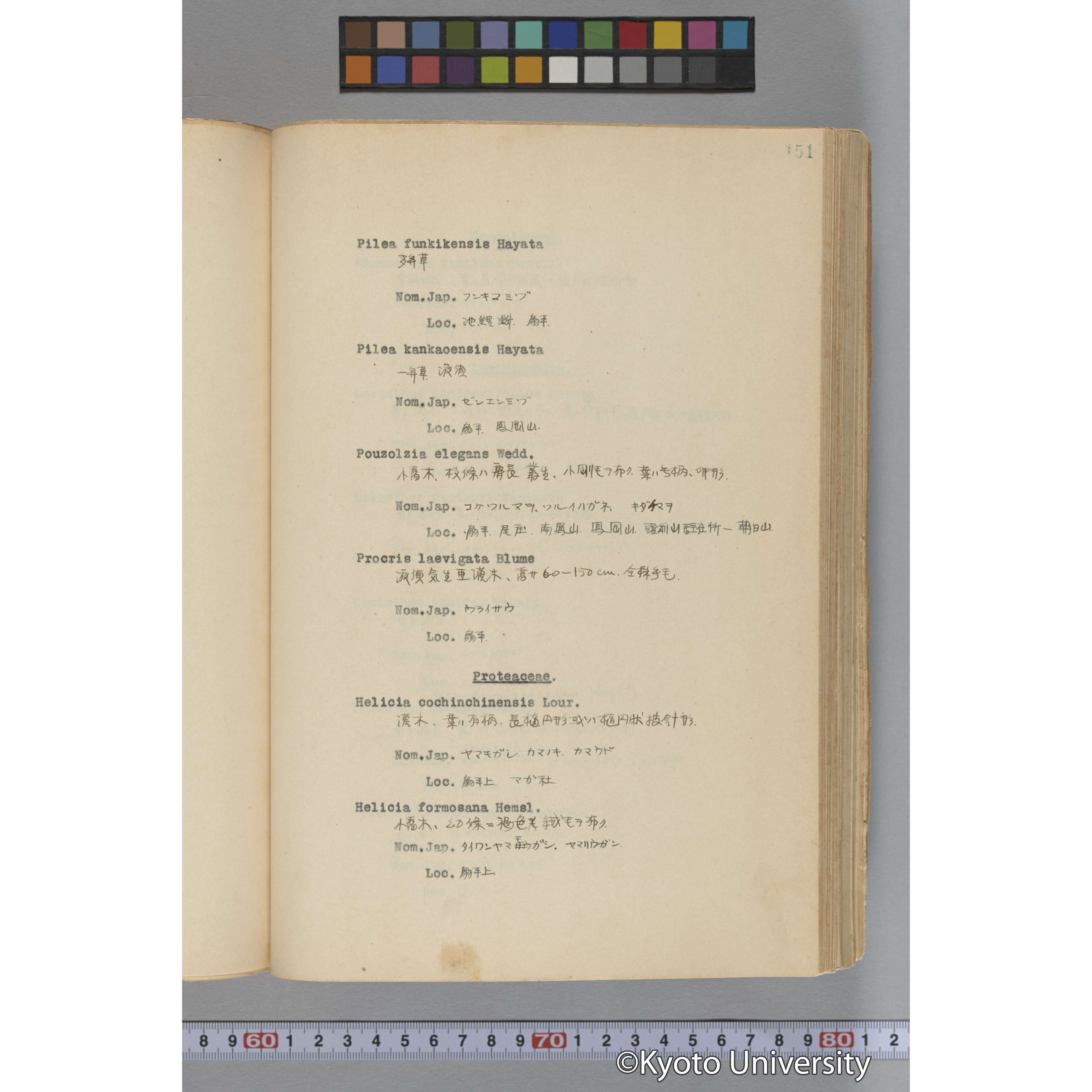 台湾演習林植物調査報告. 第一予報. 1931 植物調査班 (198)