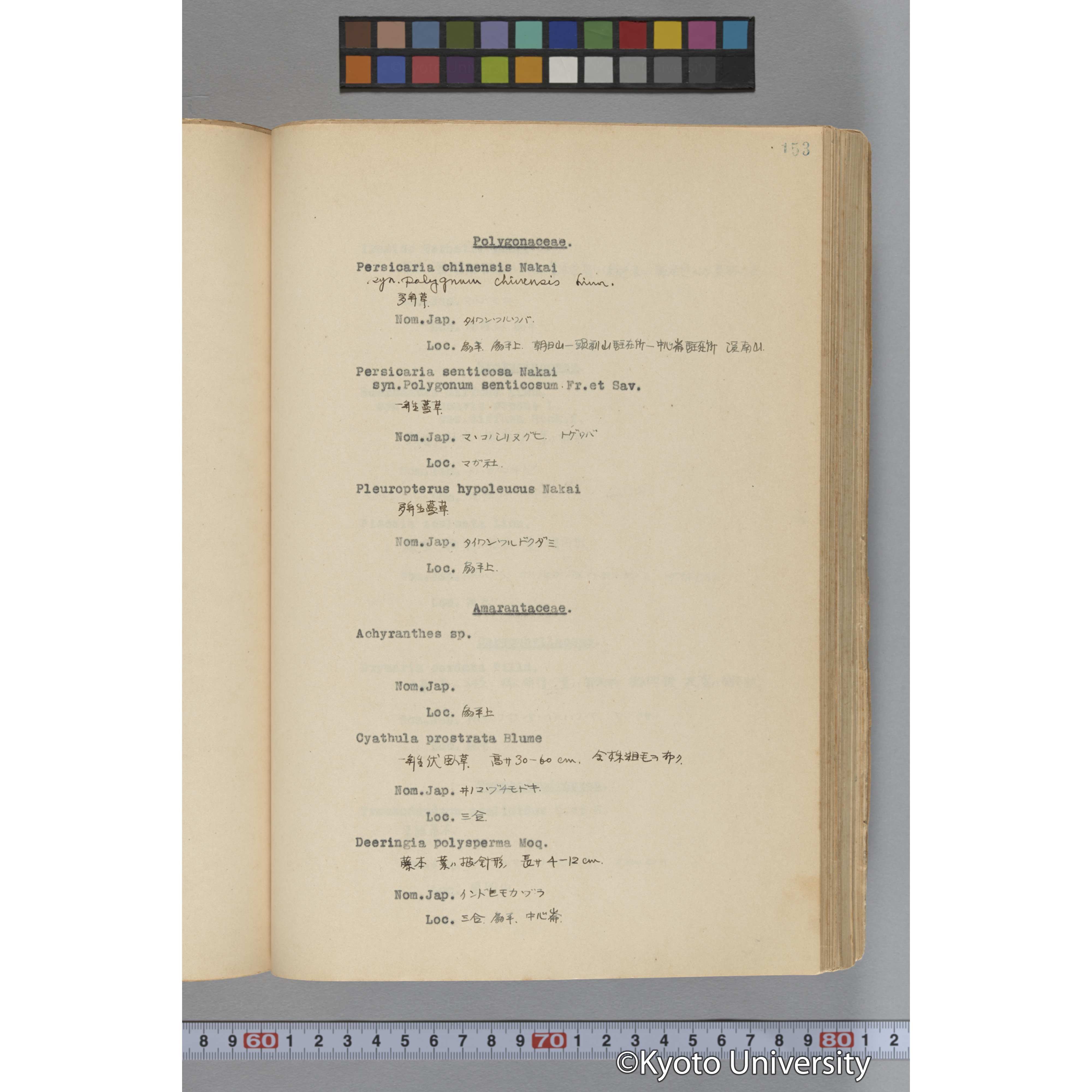 台湾演習林植物調査報告. 第一予報. 1931 植物調査班 (200)