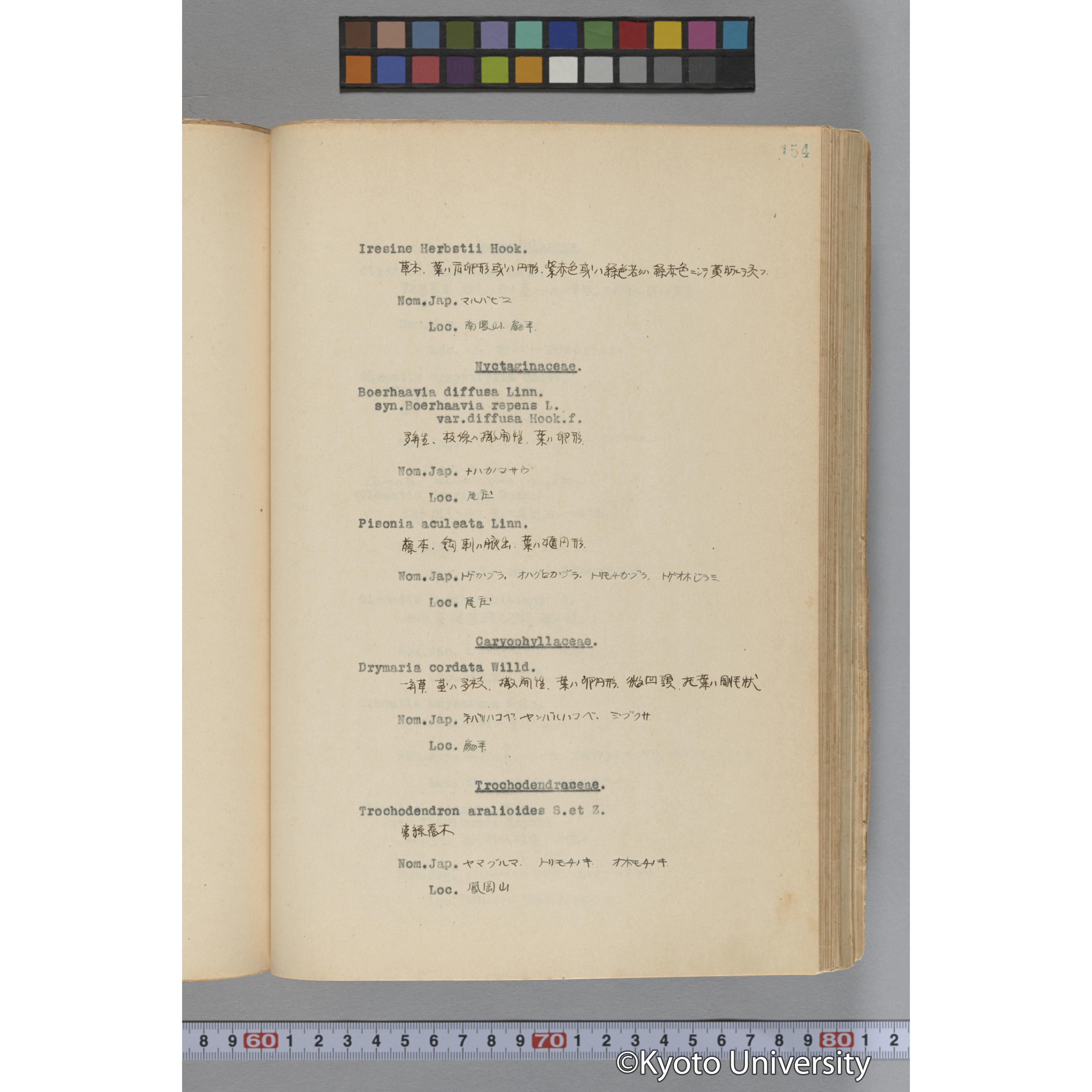 台湾演習林植物調査報告. 第一予報. 1931 植物調査班 (201)