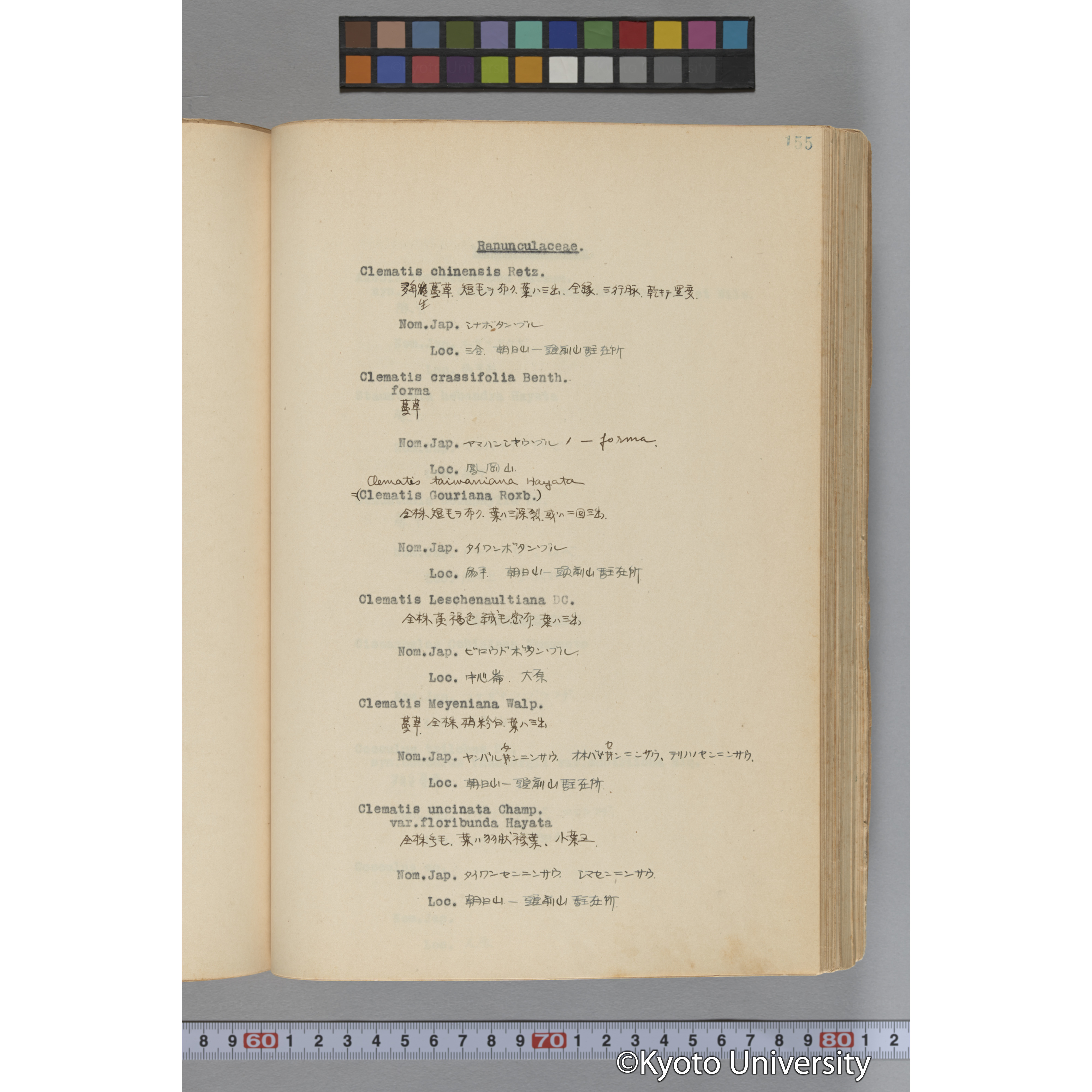 台湾演習林植物調査報告. 第一予報. 1931 植物調査班 (202)