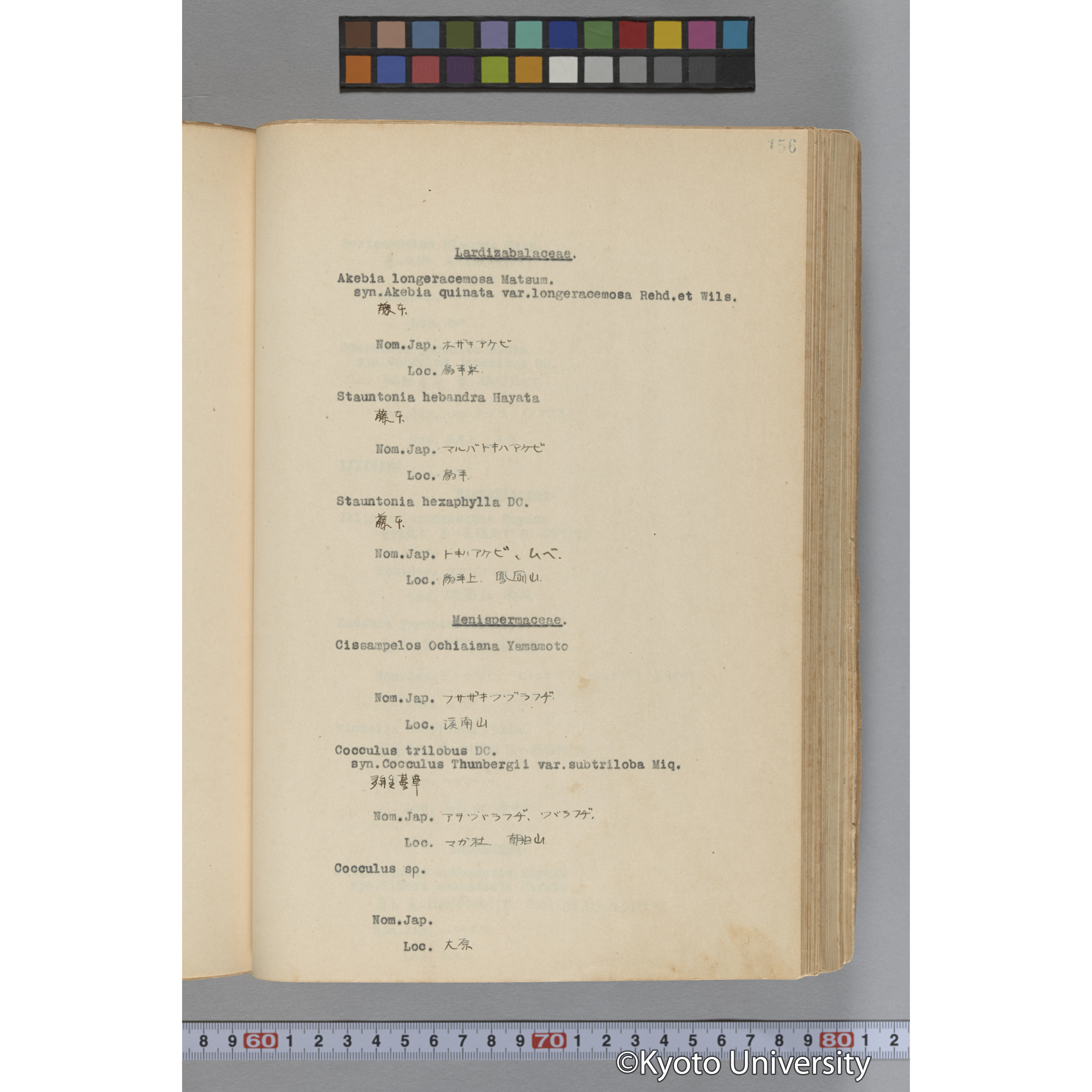 台湾演習林植物調査報告. 第一予報. 1931 植物調査班 (203)