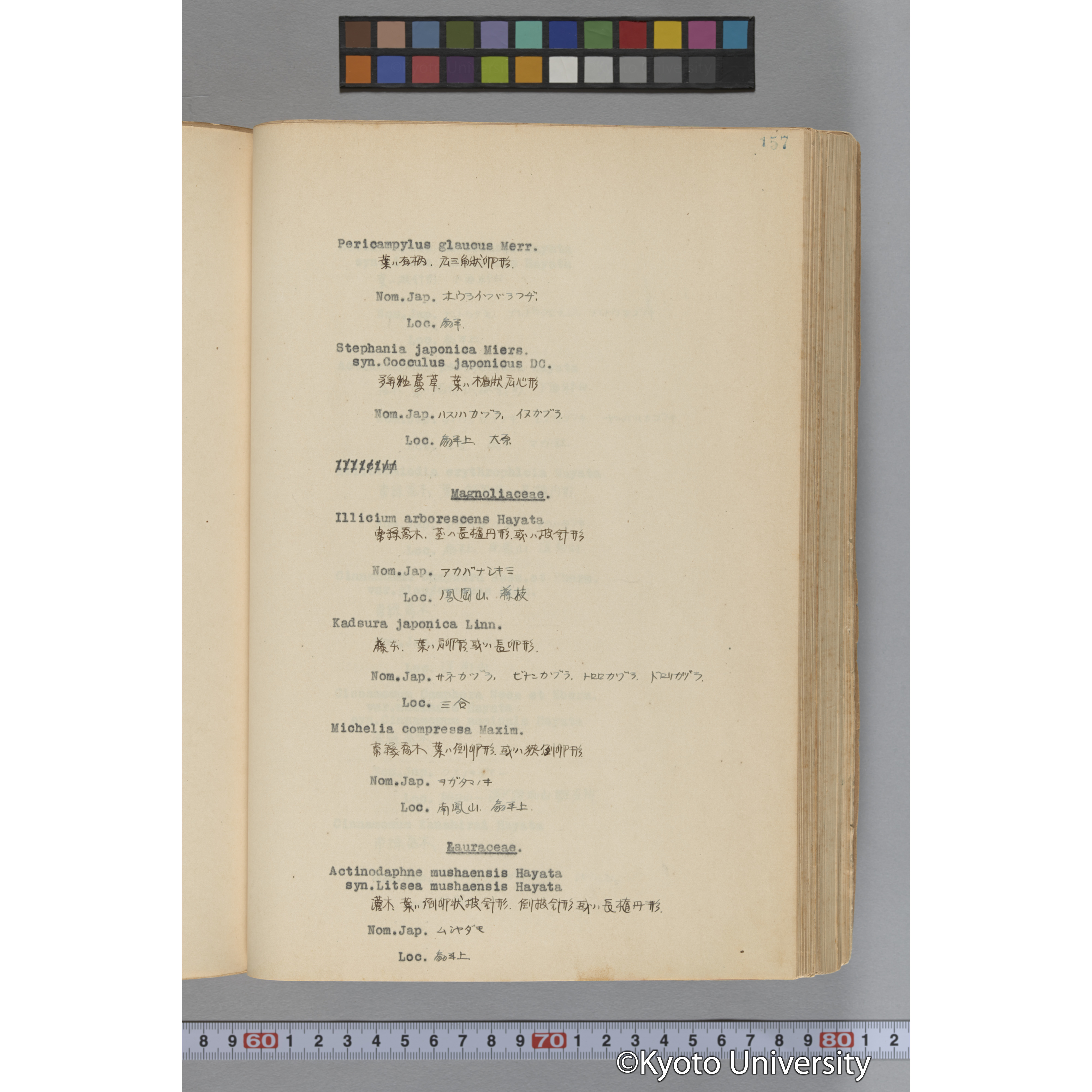 台湾演習林植物調査報告. 第一予報. 1931 植物調査班 (204)