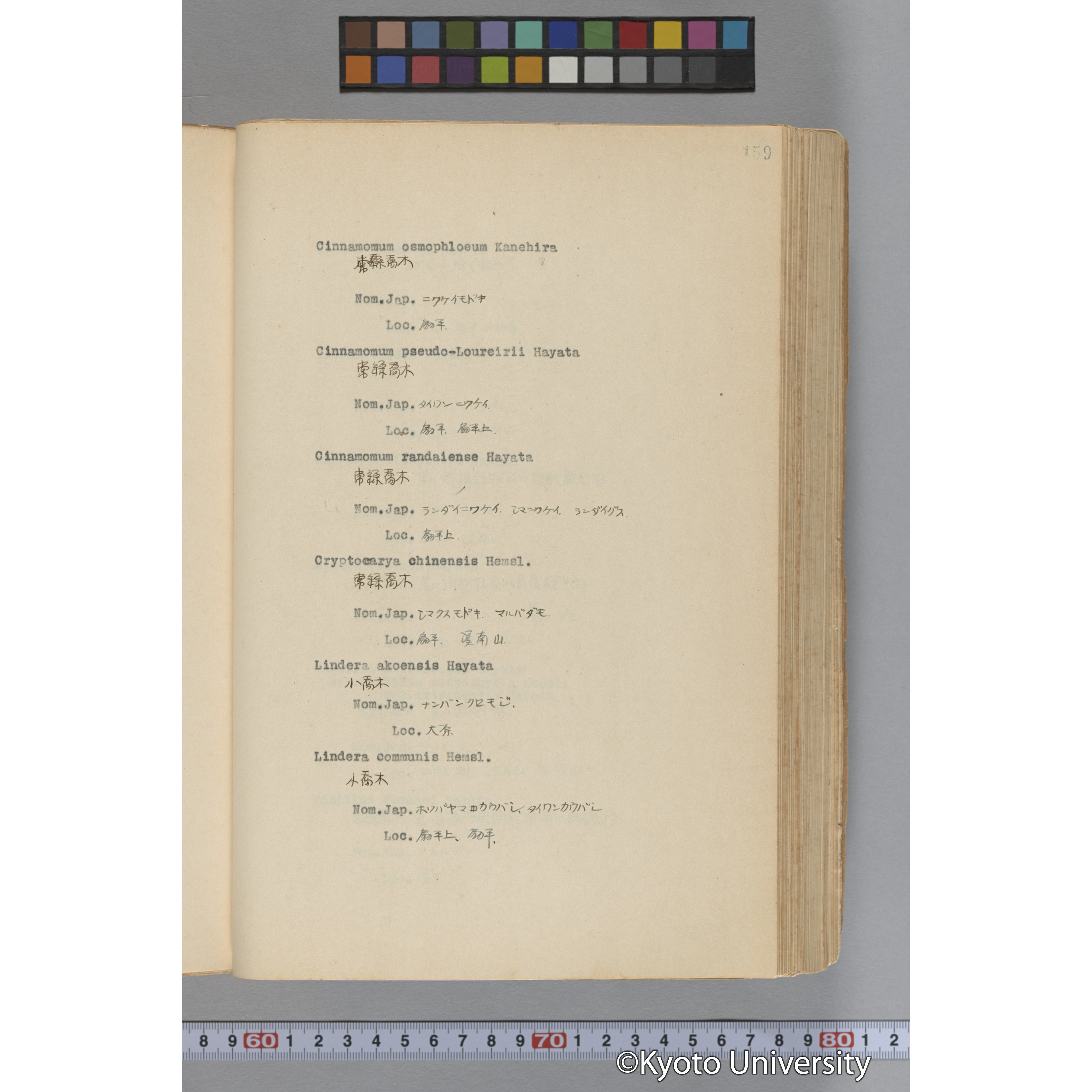 台湾演習林植物調査報告. 第一予報. 1931 植物調査班 (206)