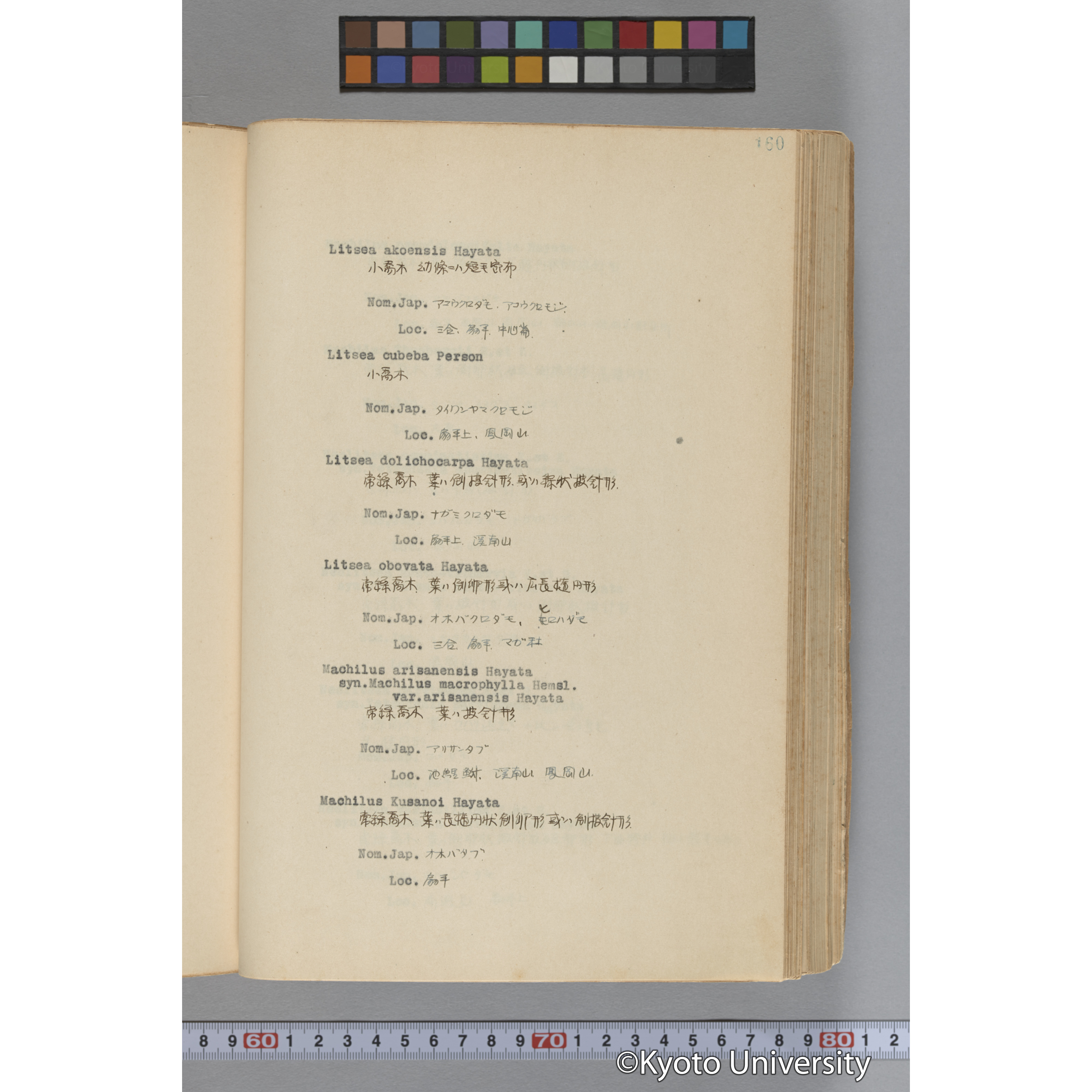 台湾演習林植物調査報告. 第一予報. 1931 植物調査班 (207)