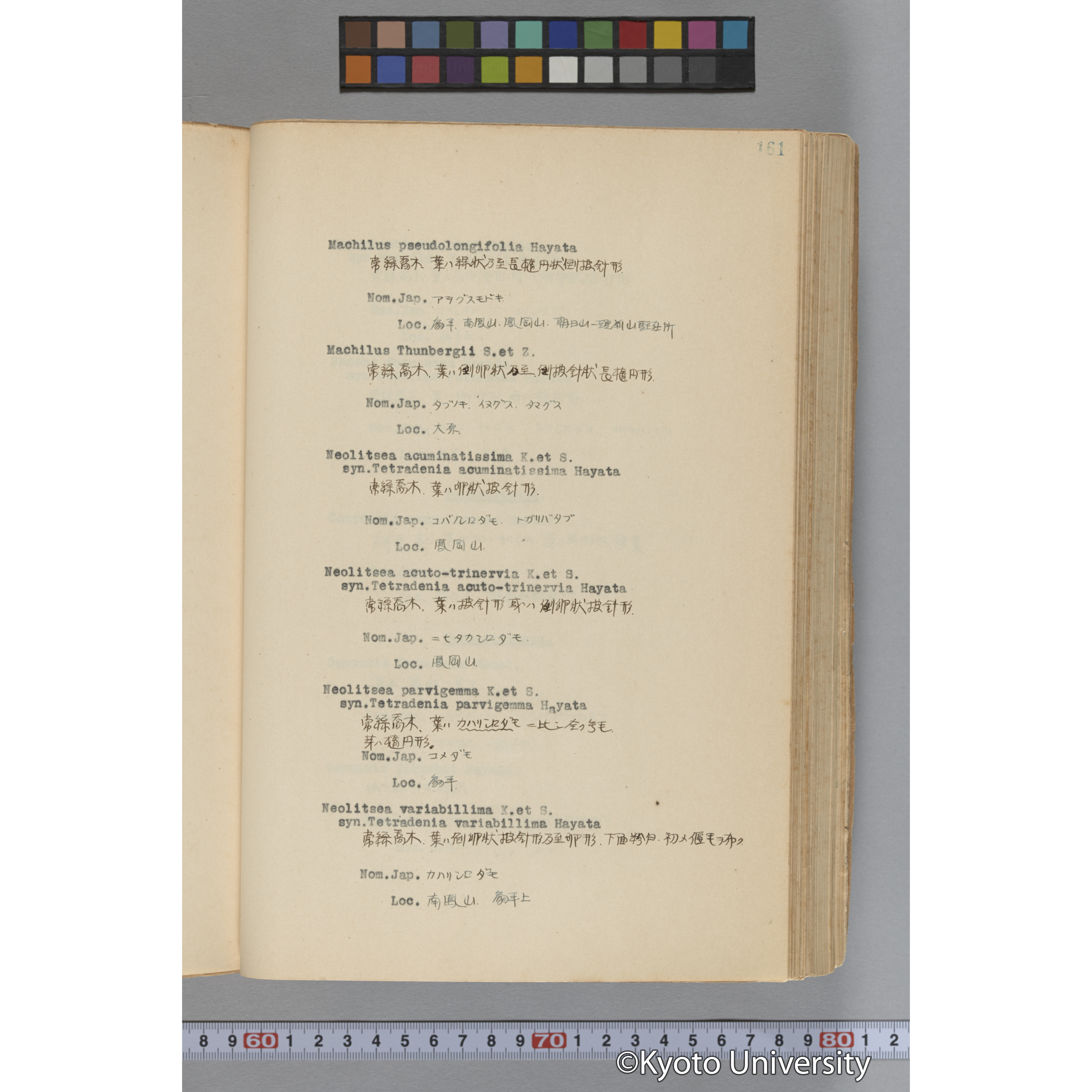 台湾演習林植物調査報告. 第一予報. 1931 植物調査班 (208)