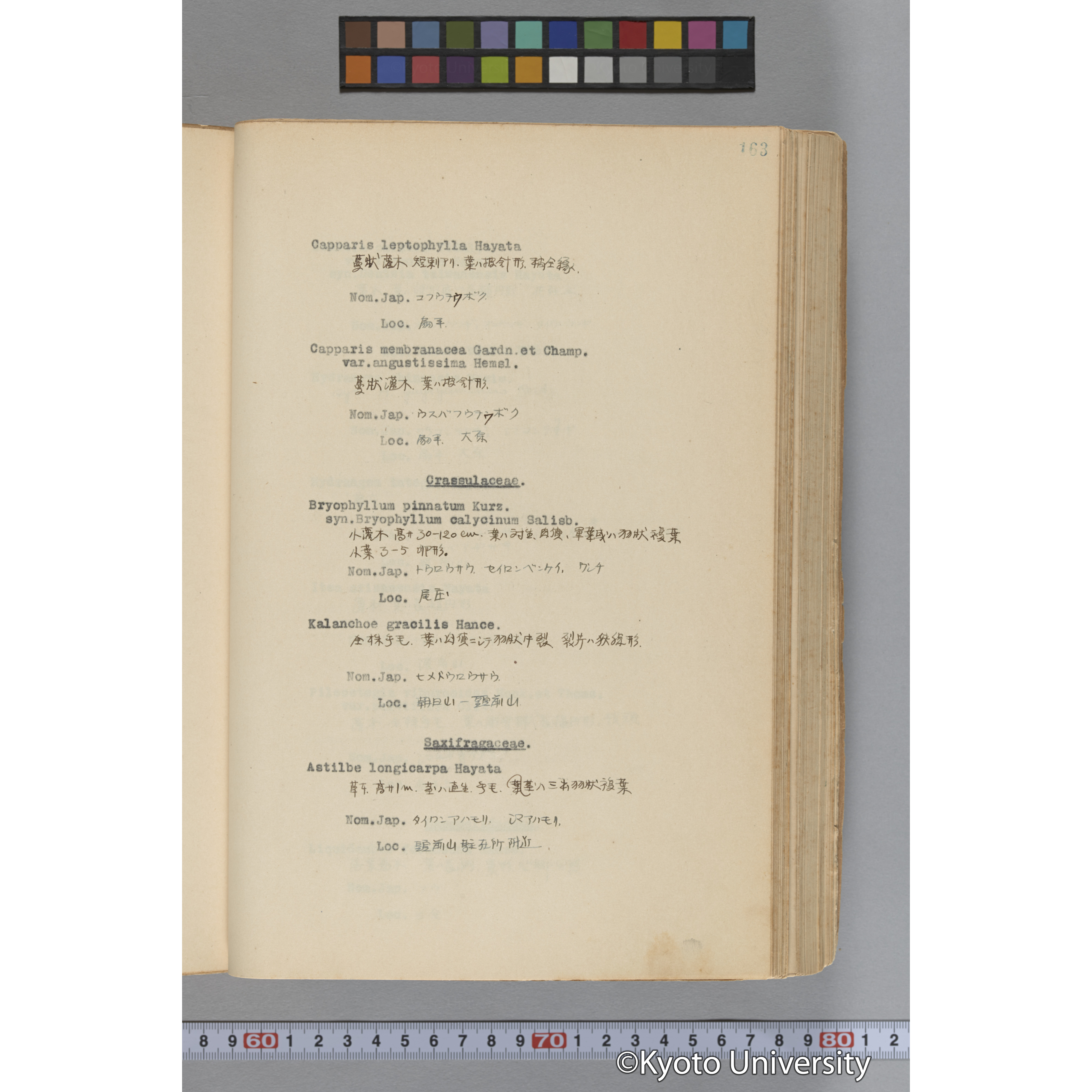 台湾演習林植物調査報告. 第一予報. 1931 植物調査班 (210)