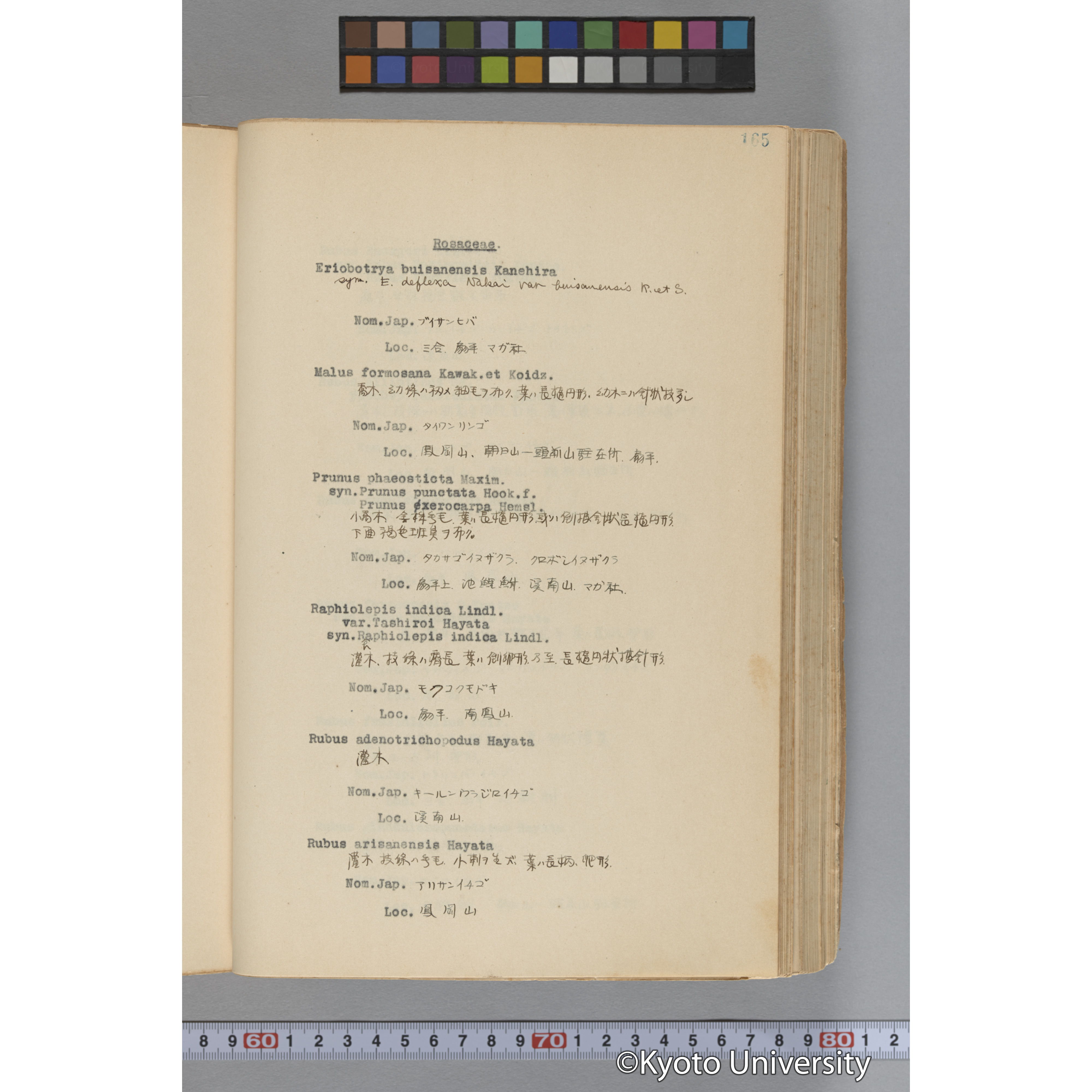 台湾演習林植物調査報告. 第一予報. 1931 植物調査班 (212)