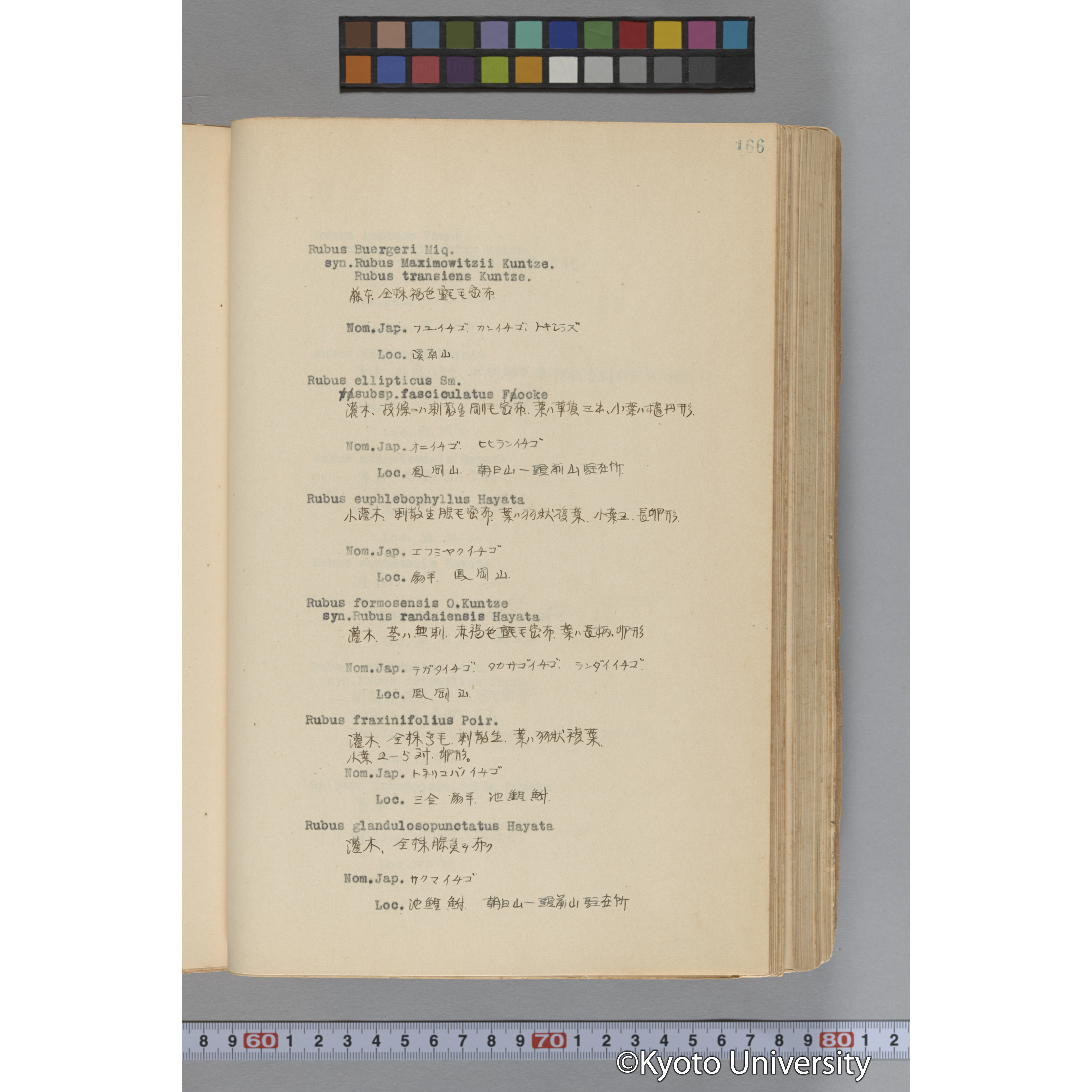 台湾演習林植物調査報告. 第一予報. 1931 植物調査班 (213)