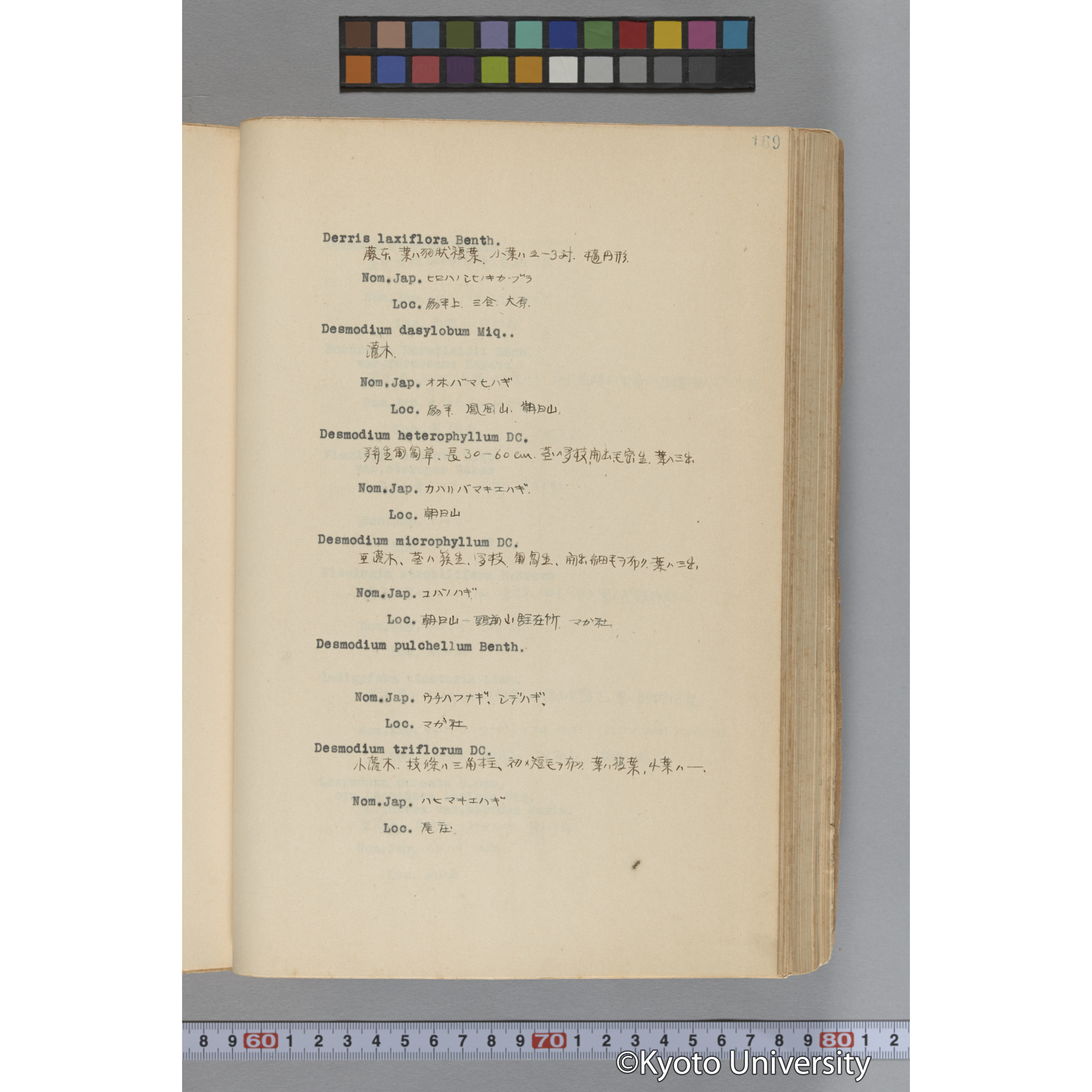台湾演習林植物調査報告. 第一予報. 1931 植物調査班 (216)