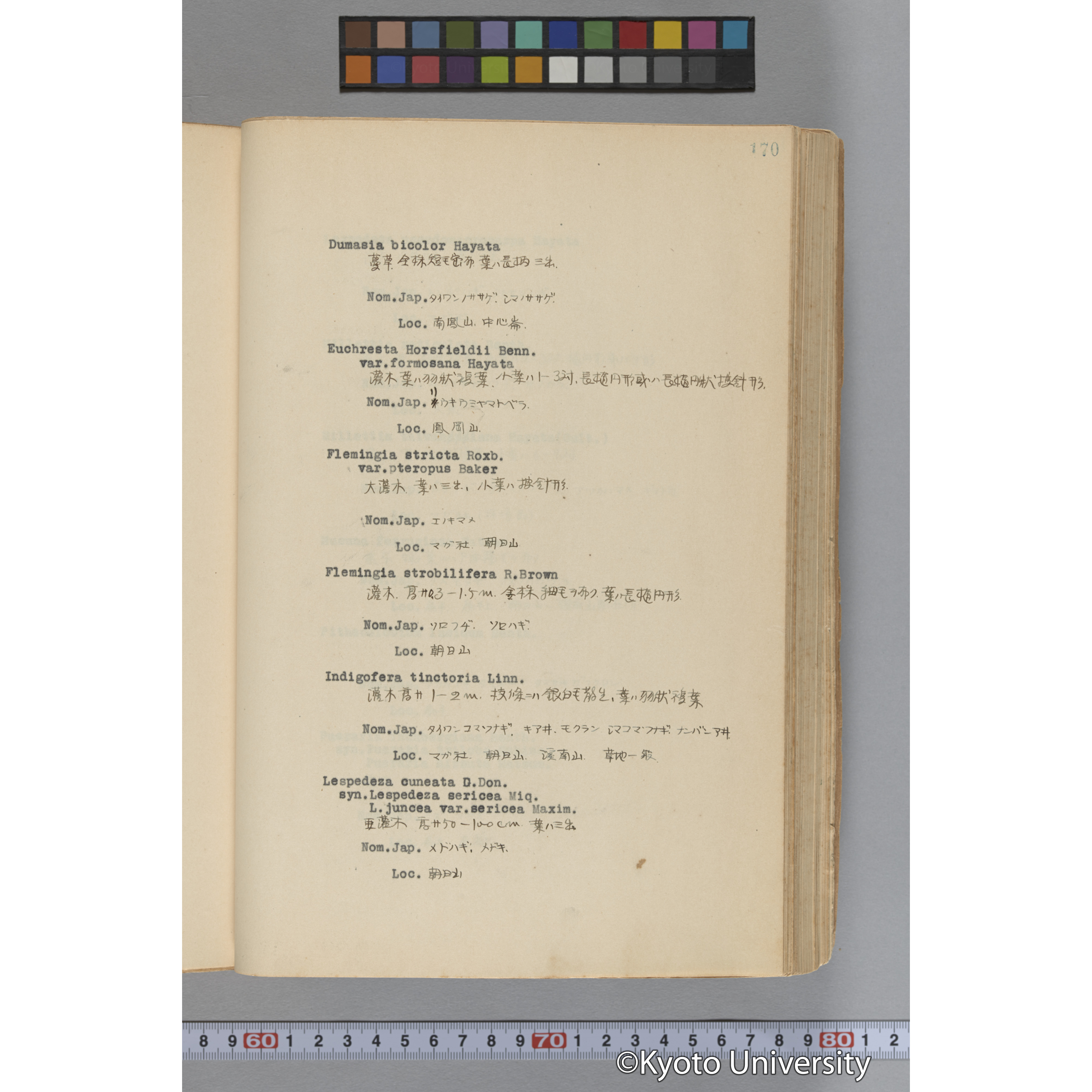 台湾演習林植物調査報告. 第一予報. 1931 植物調査班 (217)