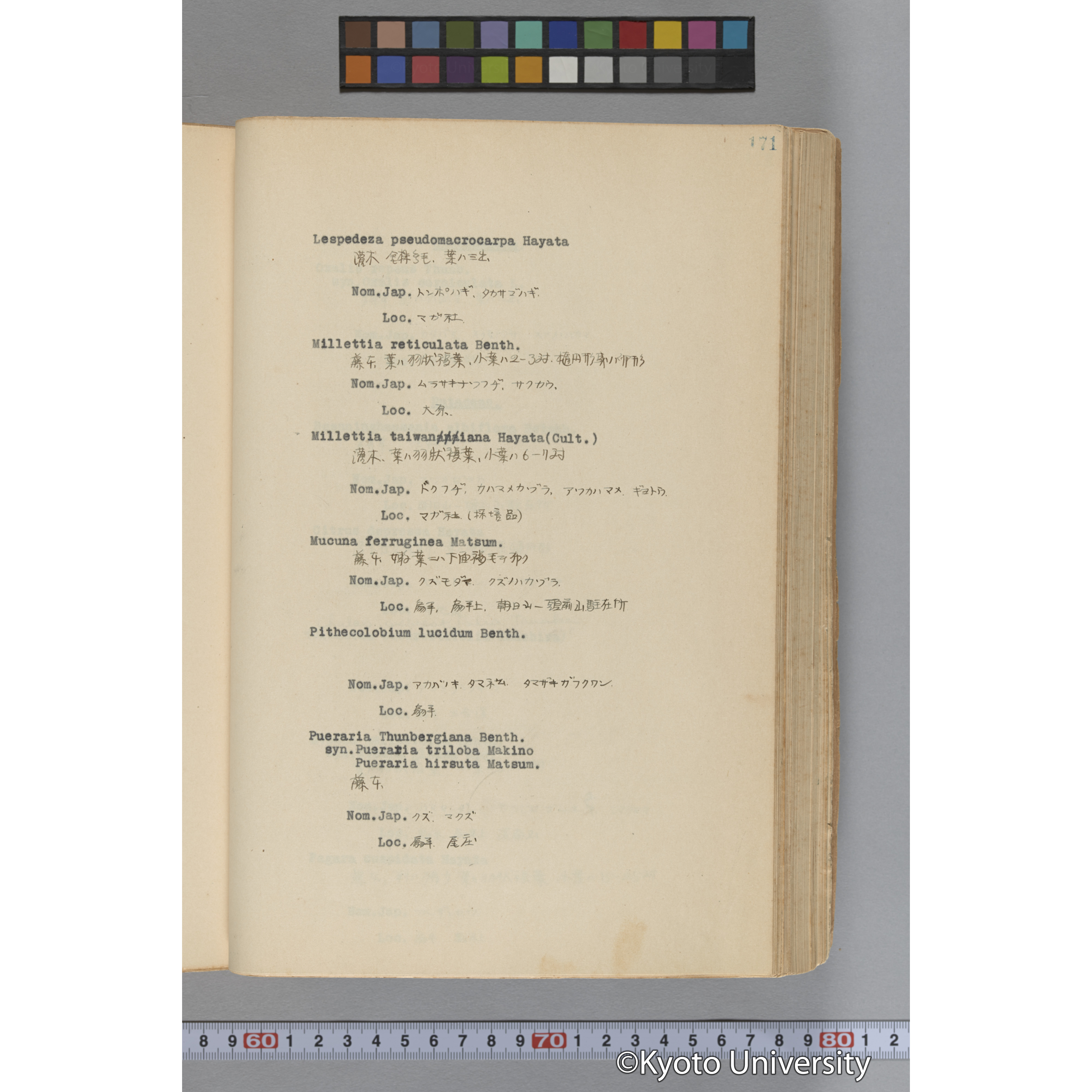 台湾演習林植物調査報告. 第一予報. 1931 植物調査班 (218)