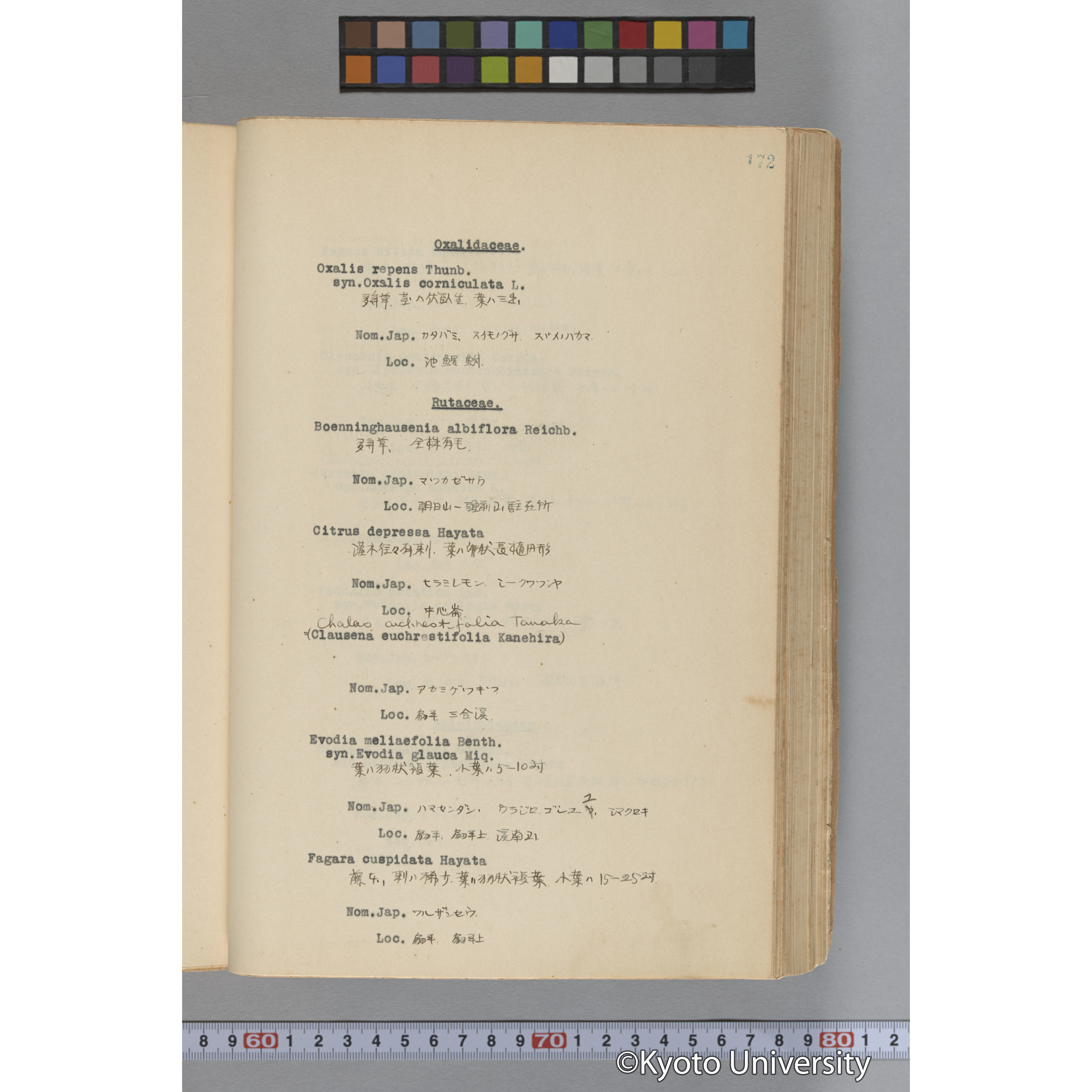 台湾演習林植物調査報告. 第一予報. 1931 植物調査班 (219)