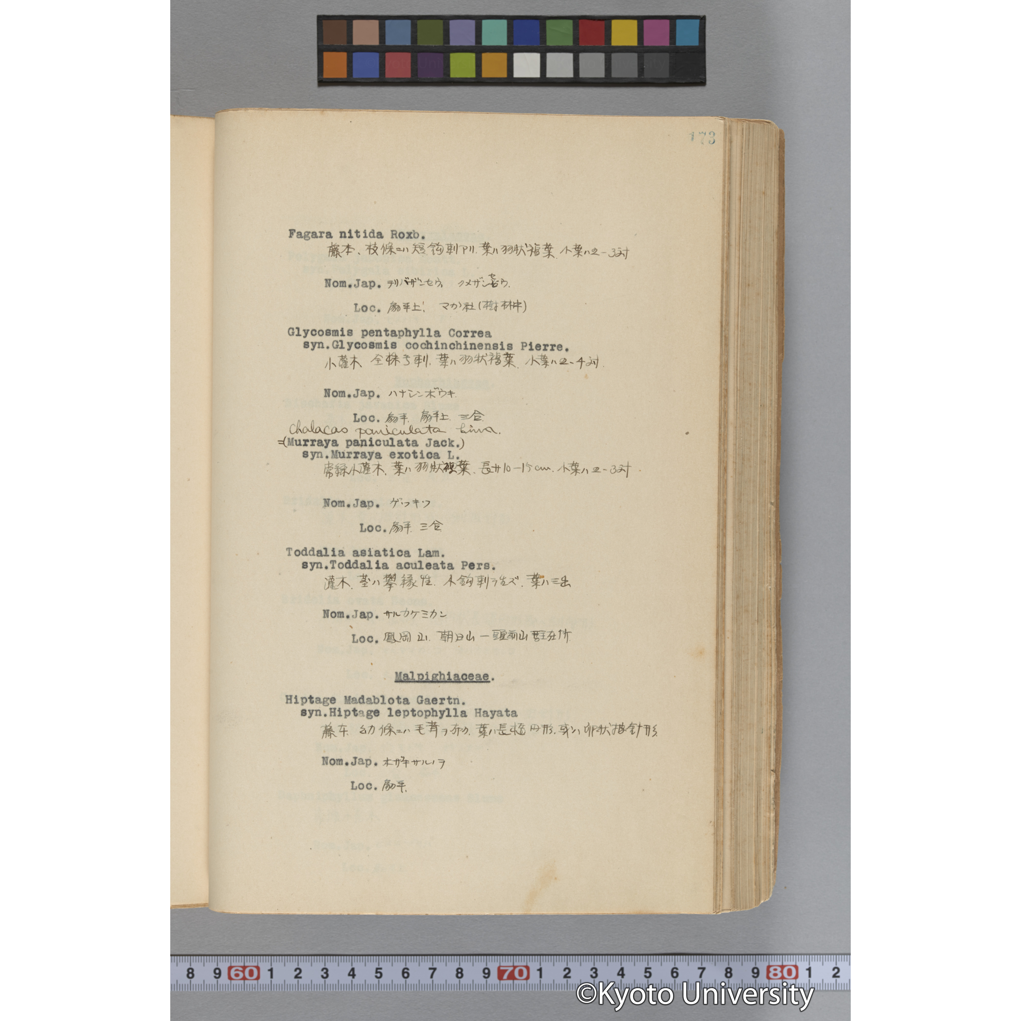 台湾演習林植物調査報告. 第一予報. 1931 植物調査班 (220)