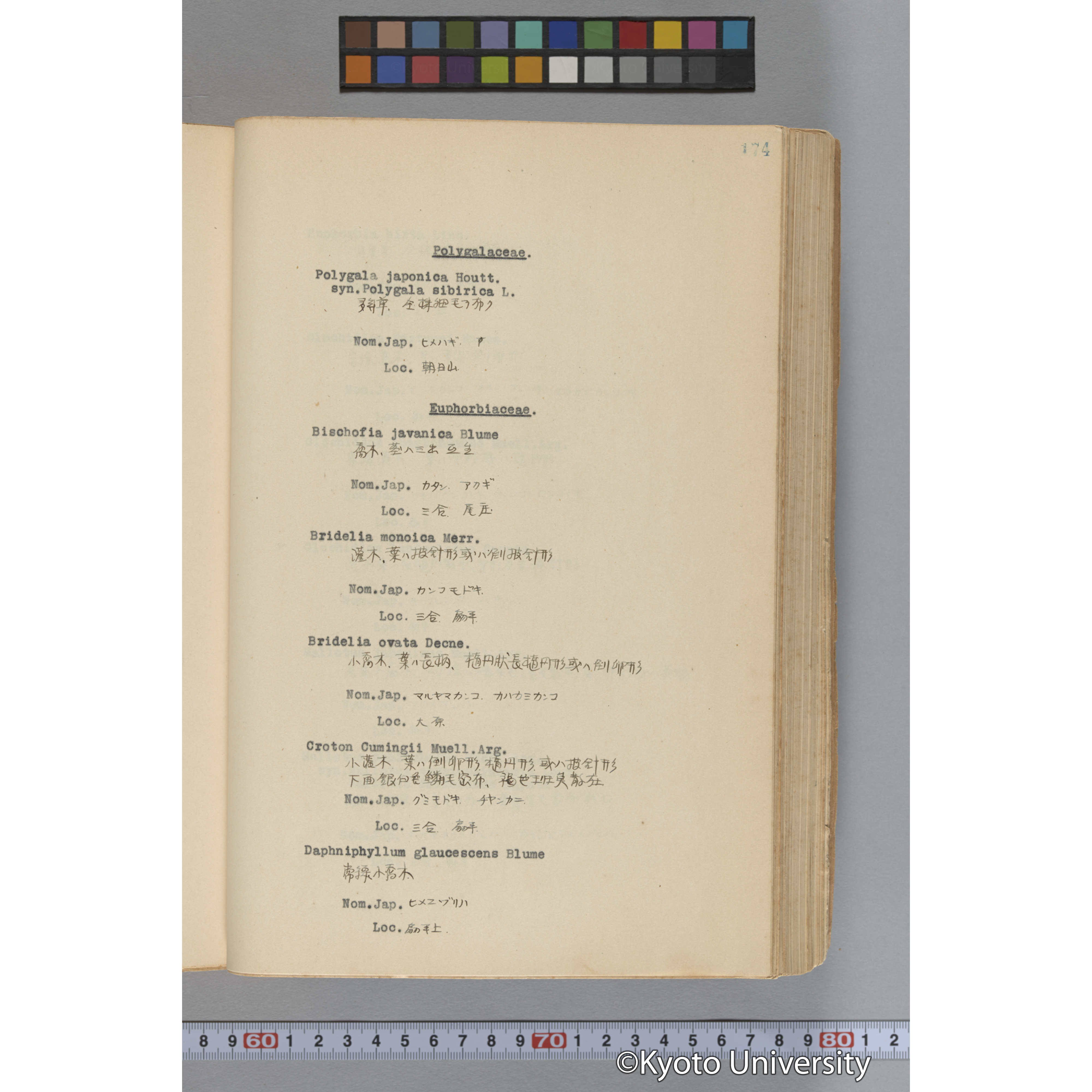 台湾演習林植物調査報告. 第一予報. 1931 植物調査班 (221)