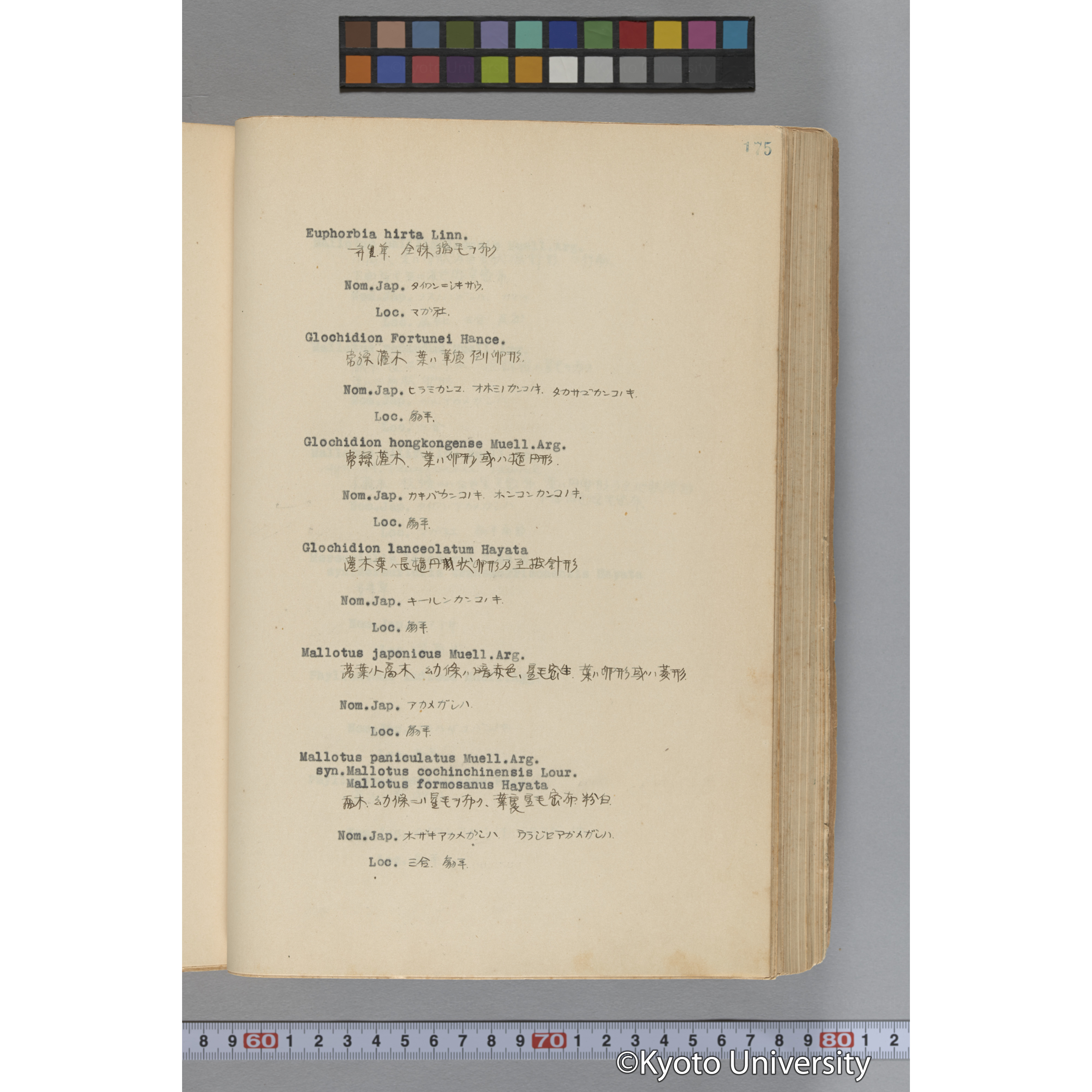 台湾演習林植物調査報告. 第一予報. 1931 植物調査班 (222)