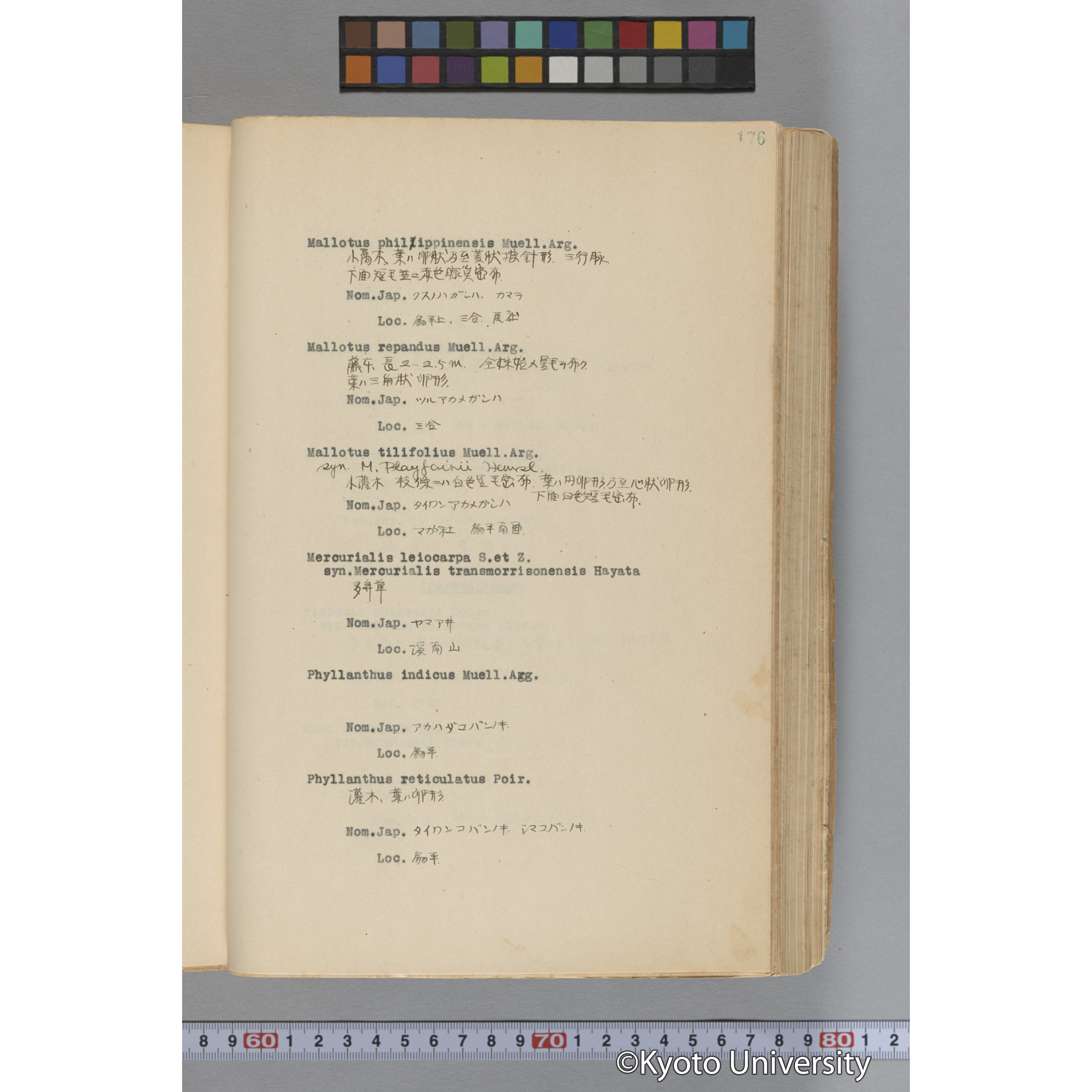 台湾演習林植物調査報告. 第一予報. 1931 植物調査班 (223)