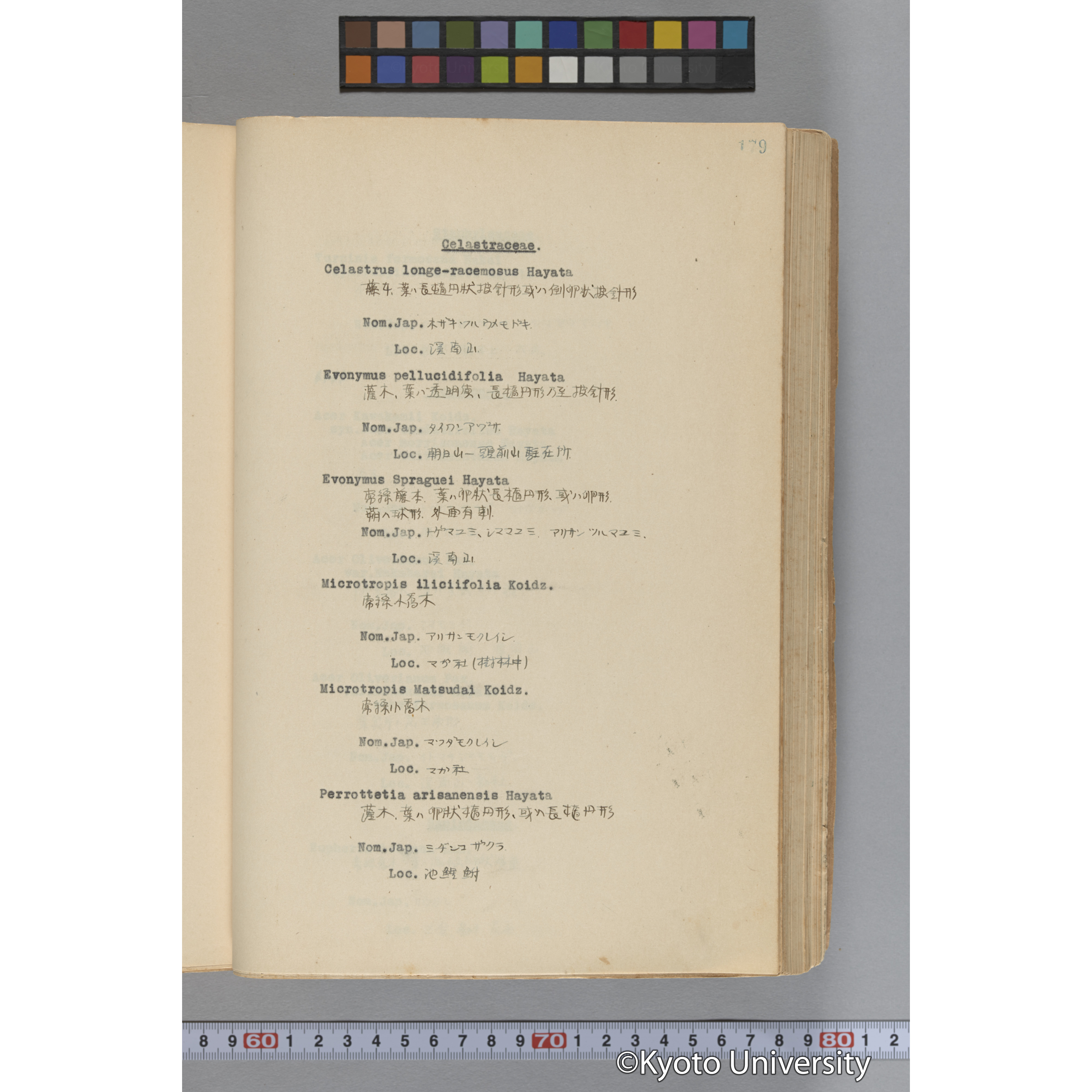 台湾演習林植物調査報告. 第一予報. 1931 植物調査班 (226)