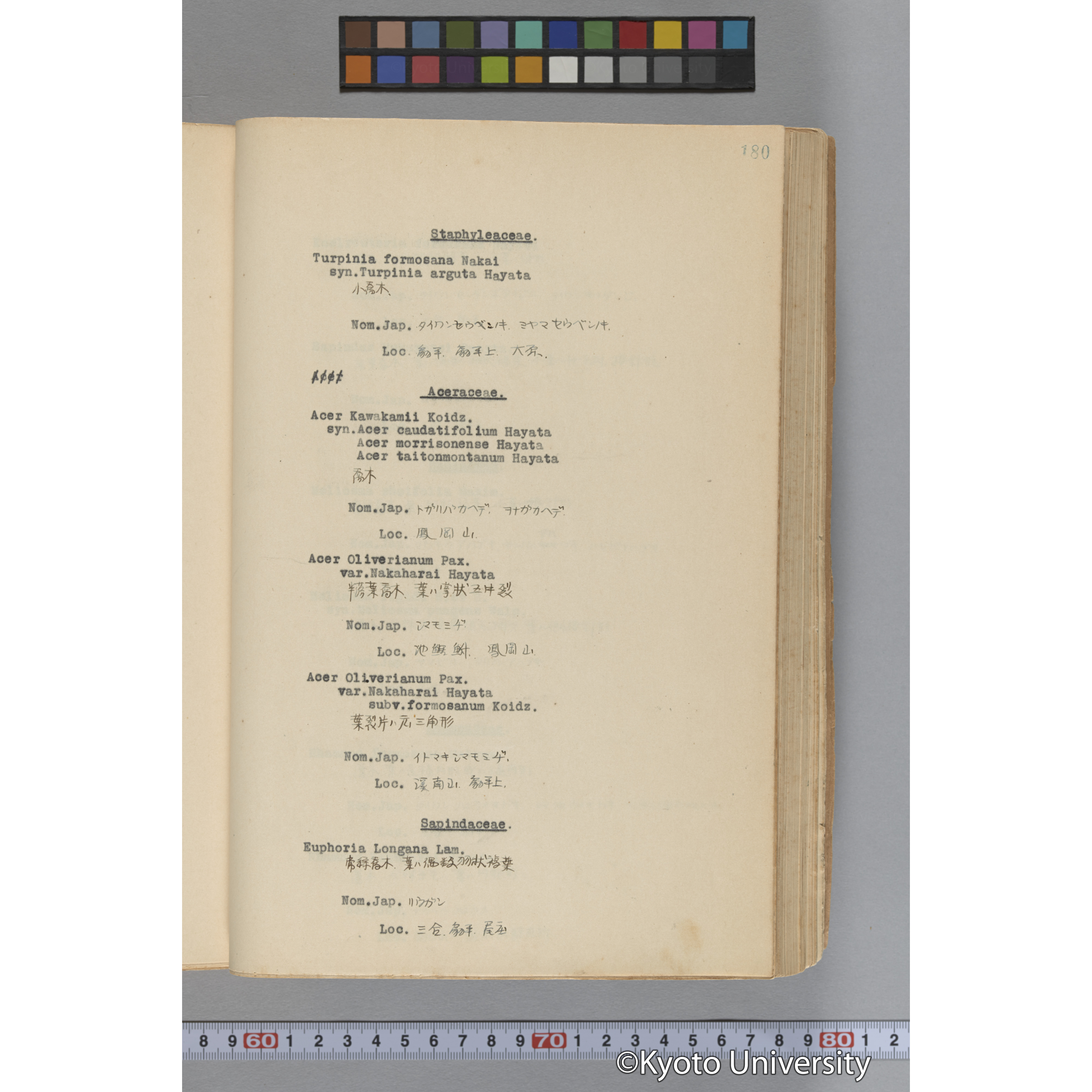 台湾演習林植物調査報告. 第一予報. 1931 植物調査班 (227)