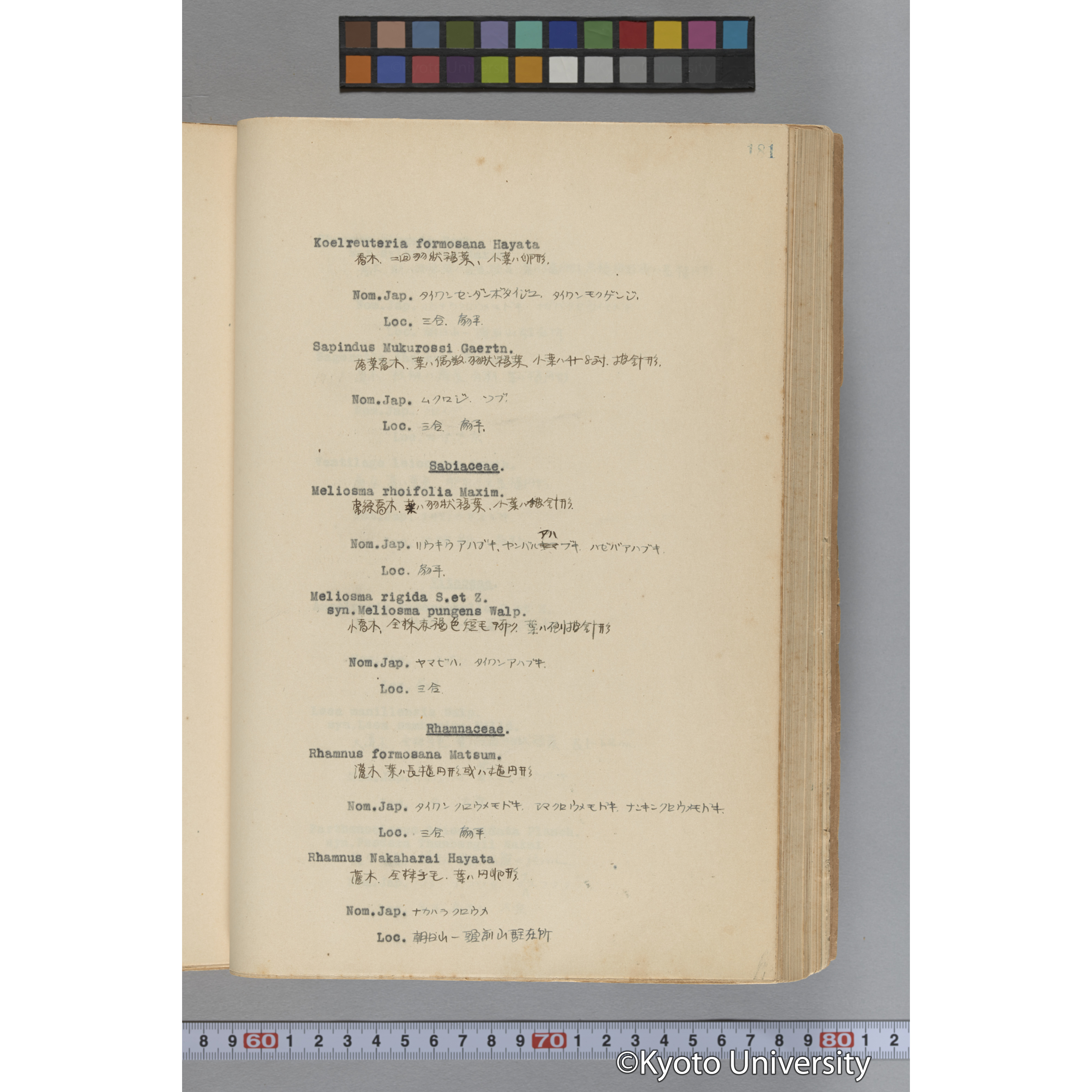 台湾演習林植物調査報告. 第一予報. 1931 植物調査班 (228)