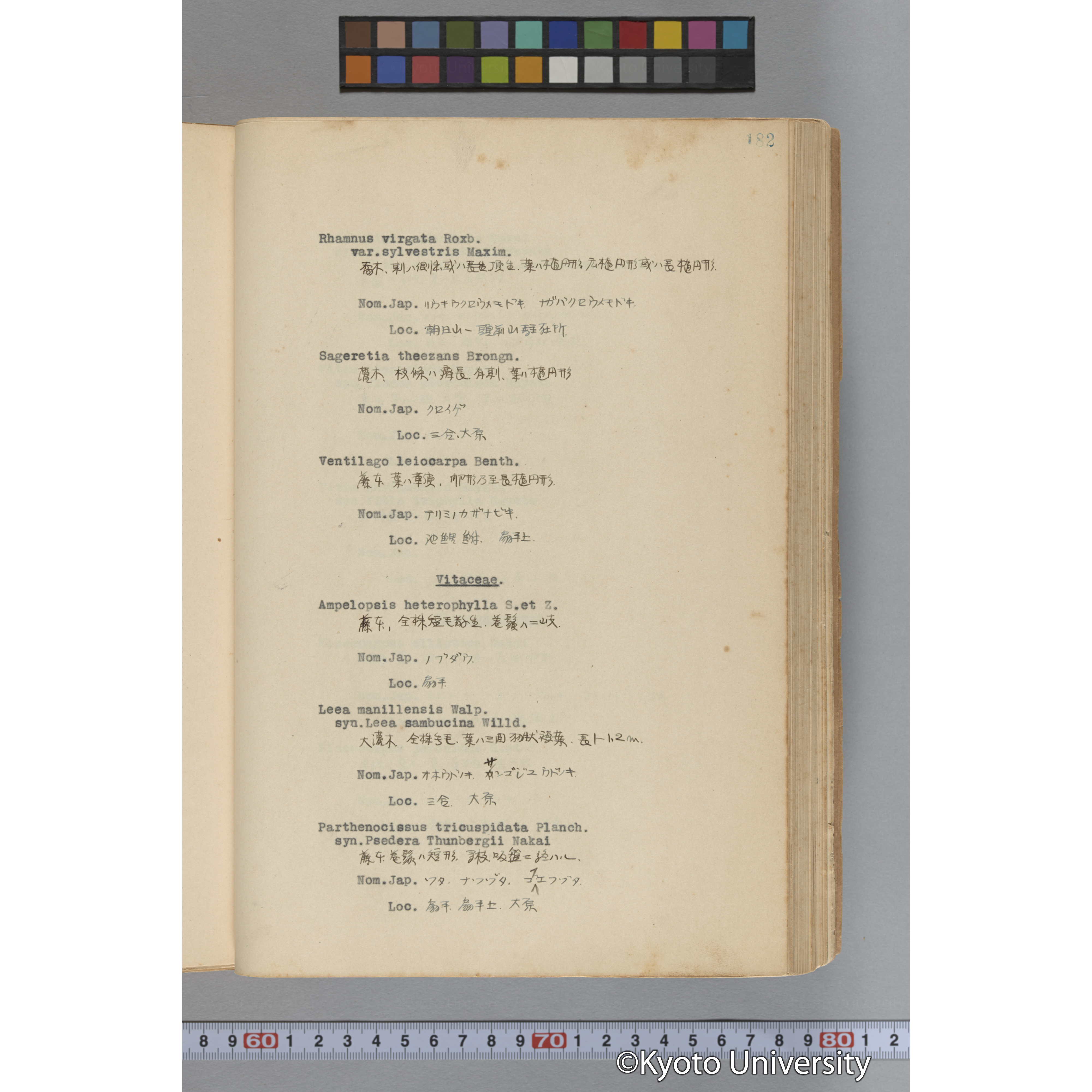 台湾演習林植物調査報告. 第一予報. 1931 植物調査班 (229)