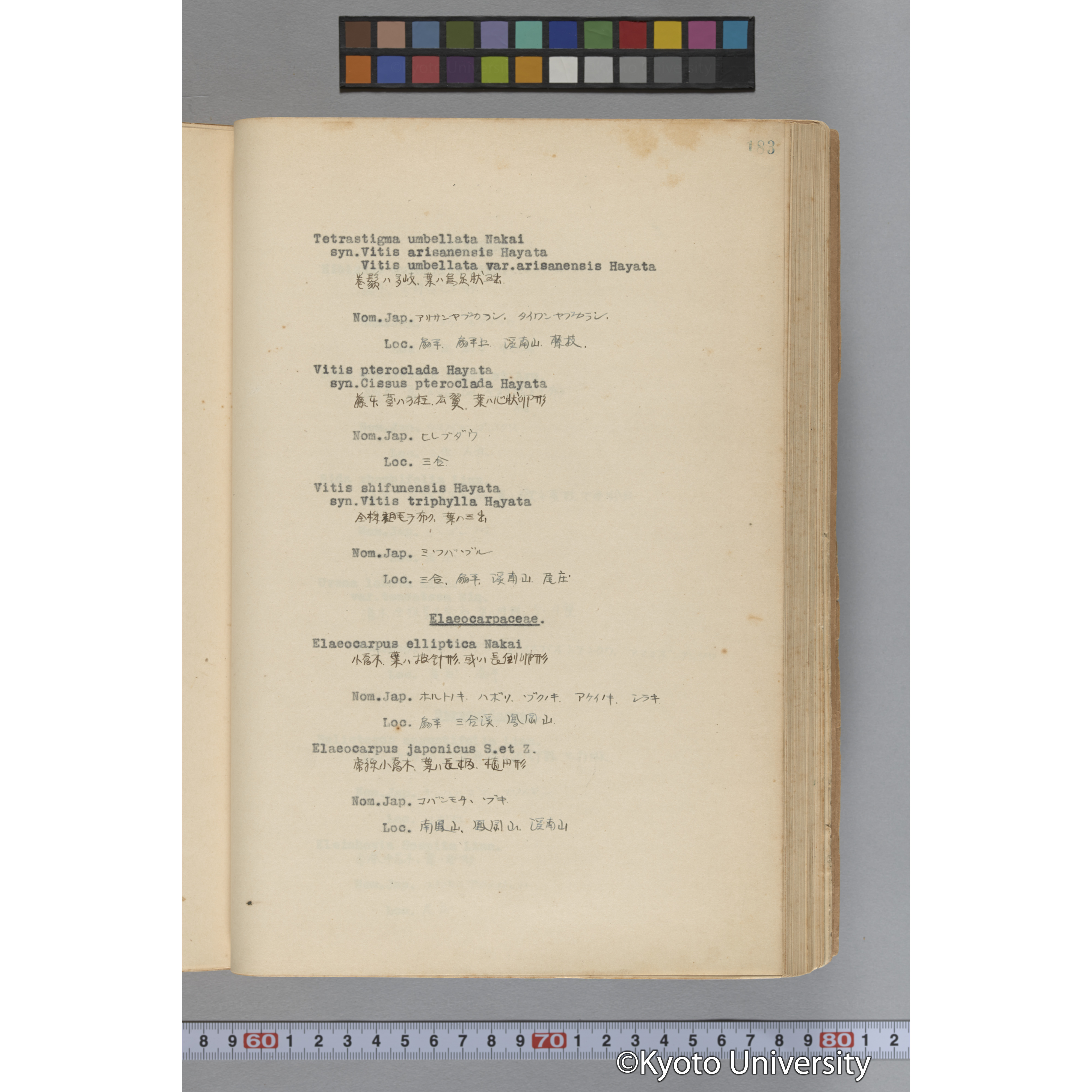 台湾演習林植物調査報告. 第一予報. 1931 植物調査班 (230)