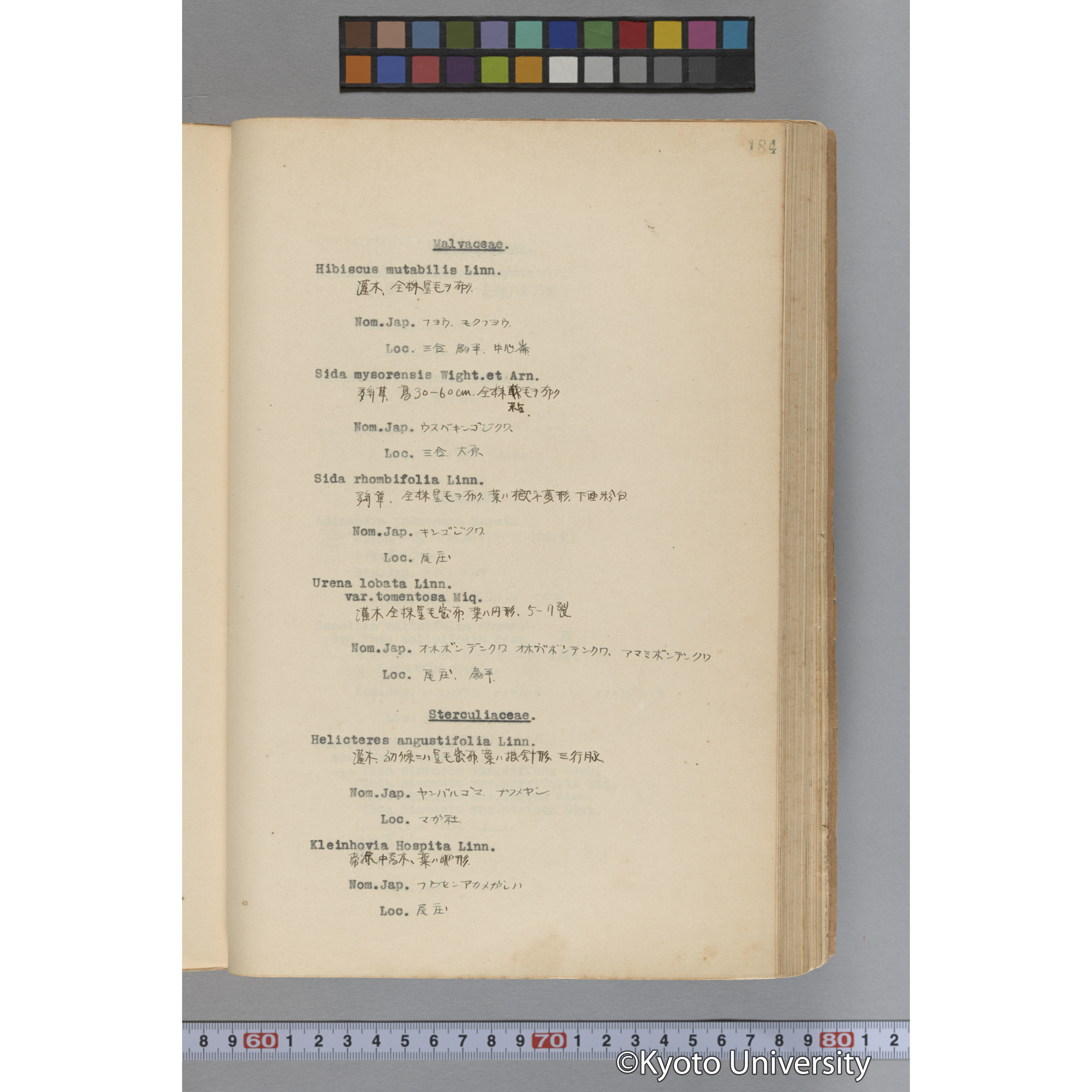 台湾演習林植物調査報告. 第一予報. 1931 植物調査班 (231)