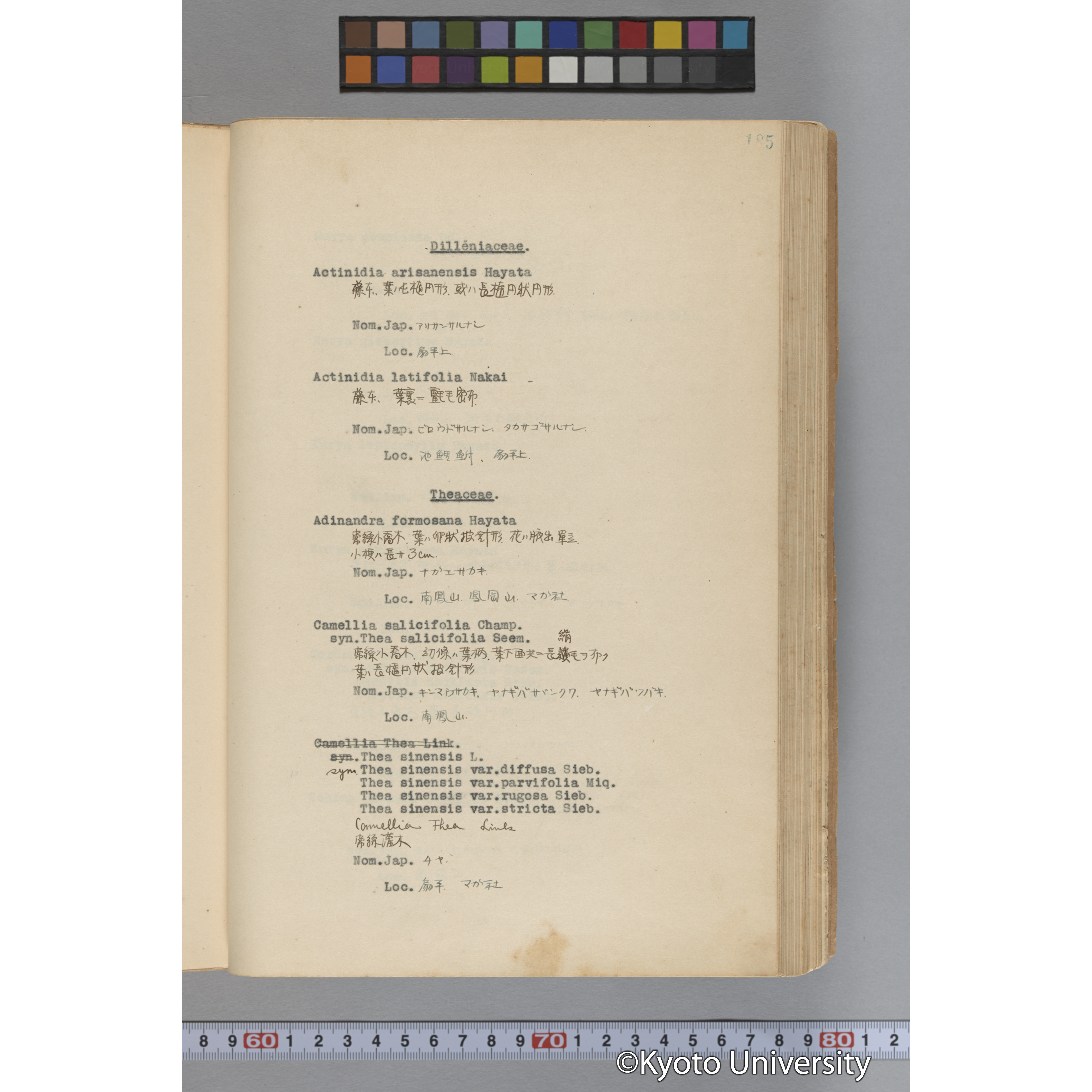 台湾演習林植物調査報告. 第一予報. 1931 植物調査班 (232)