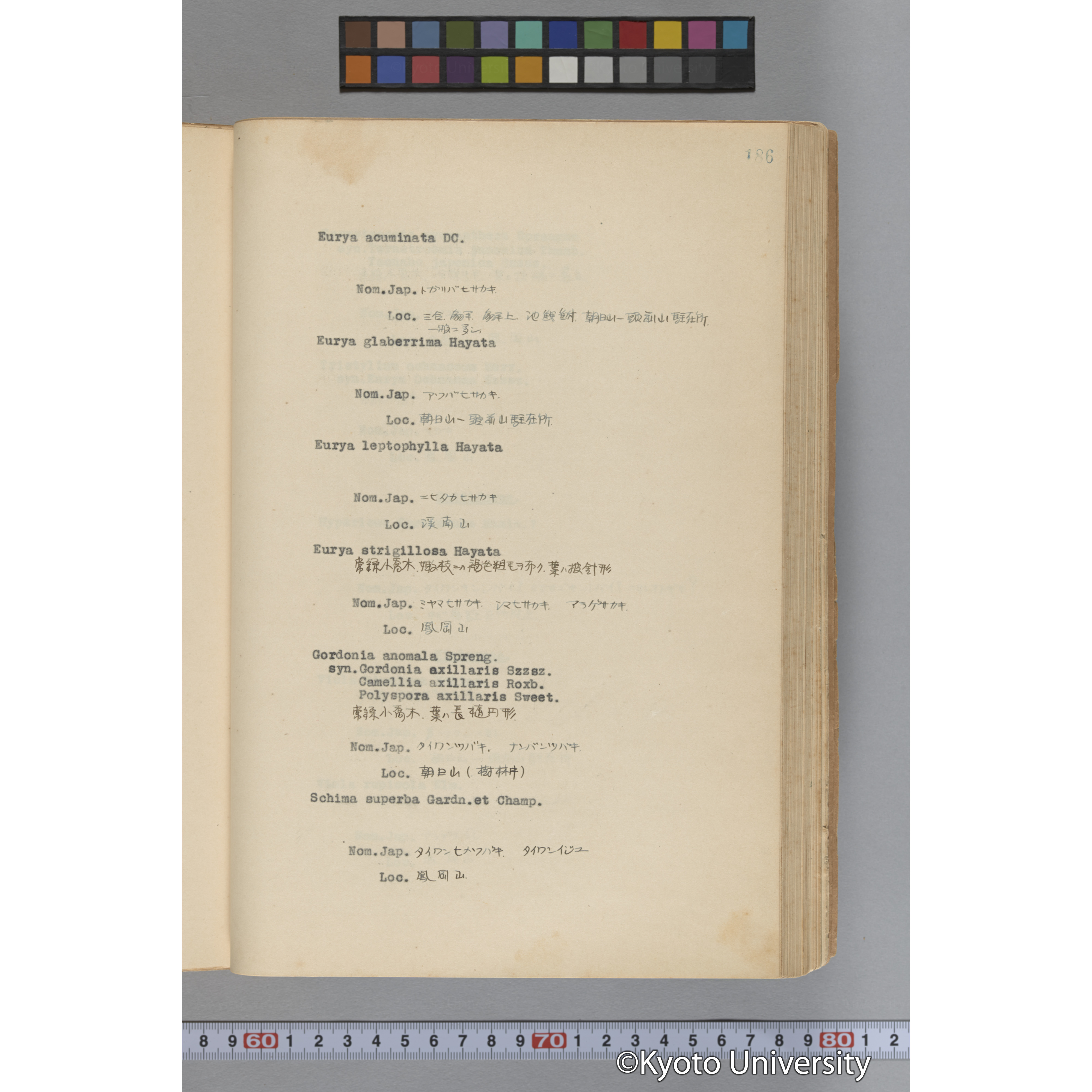 台湾演習林植物調査報告. 第一予報. 1931 植物調査班 (233)