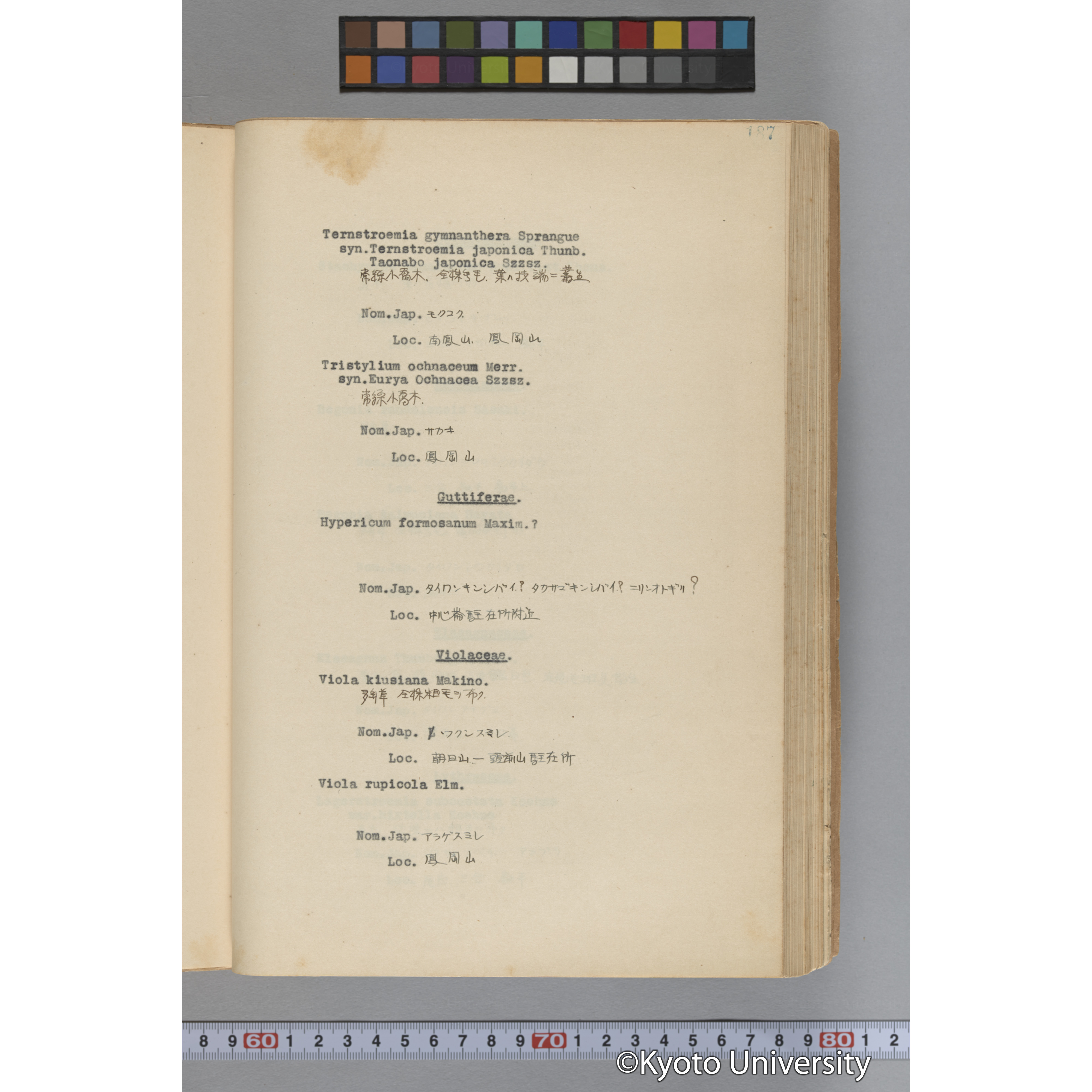 台湾演習林植物調査報告. 第一予報. 1931 植物調査班 (234)