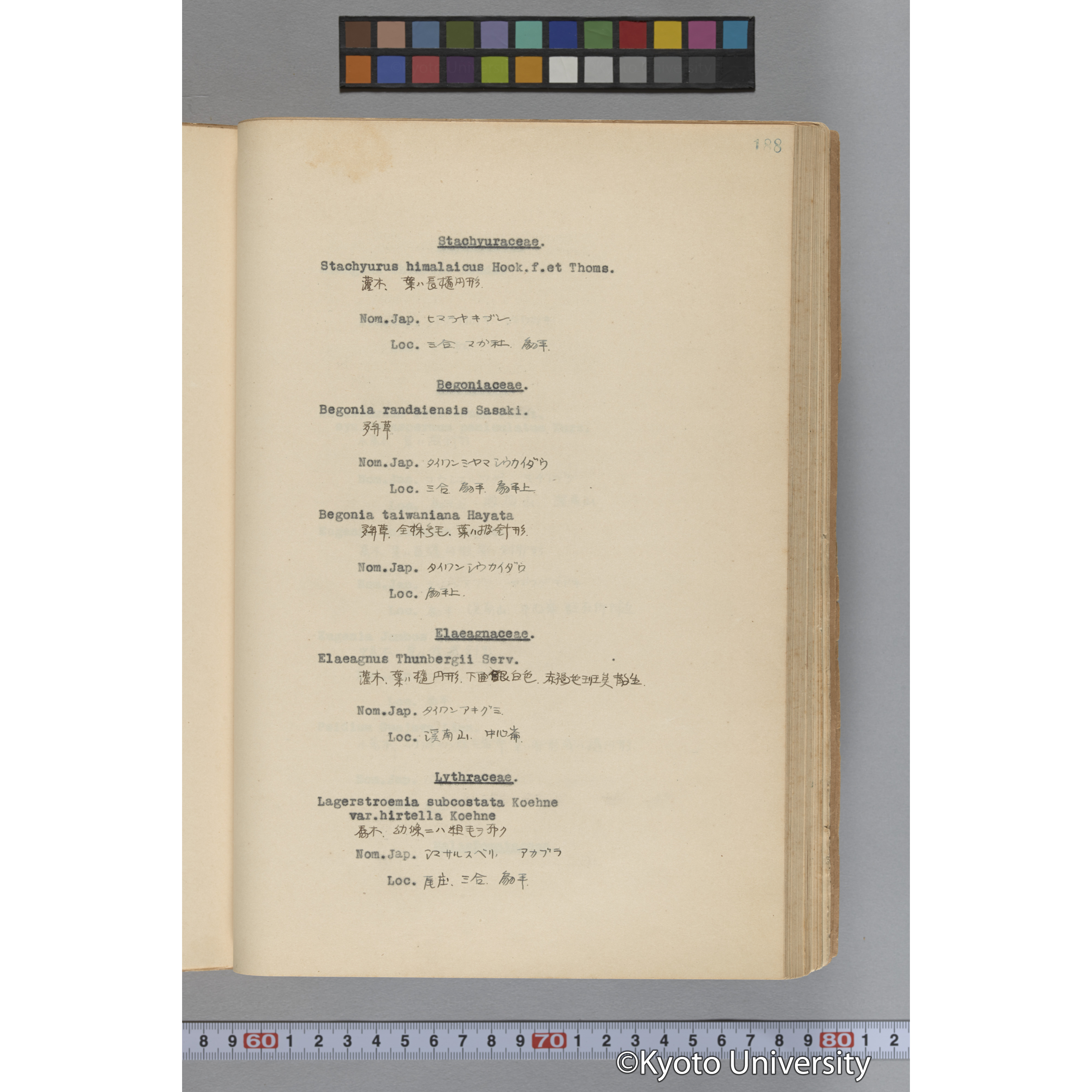 台湾演習林植物調査報告. 第一予報. 1931 植物調査班 (235)