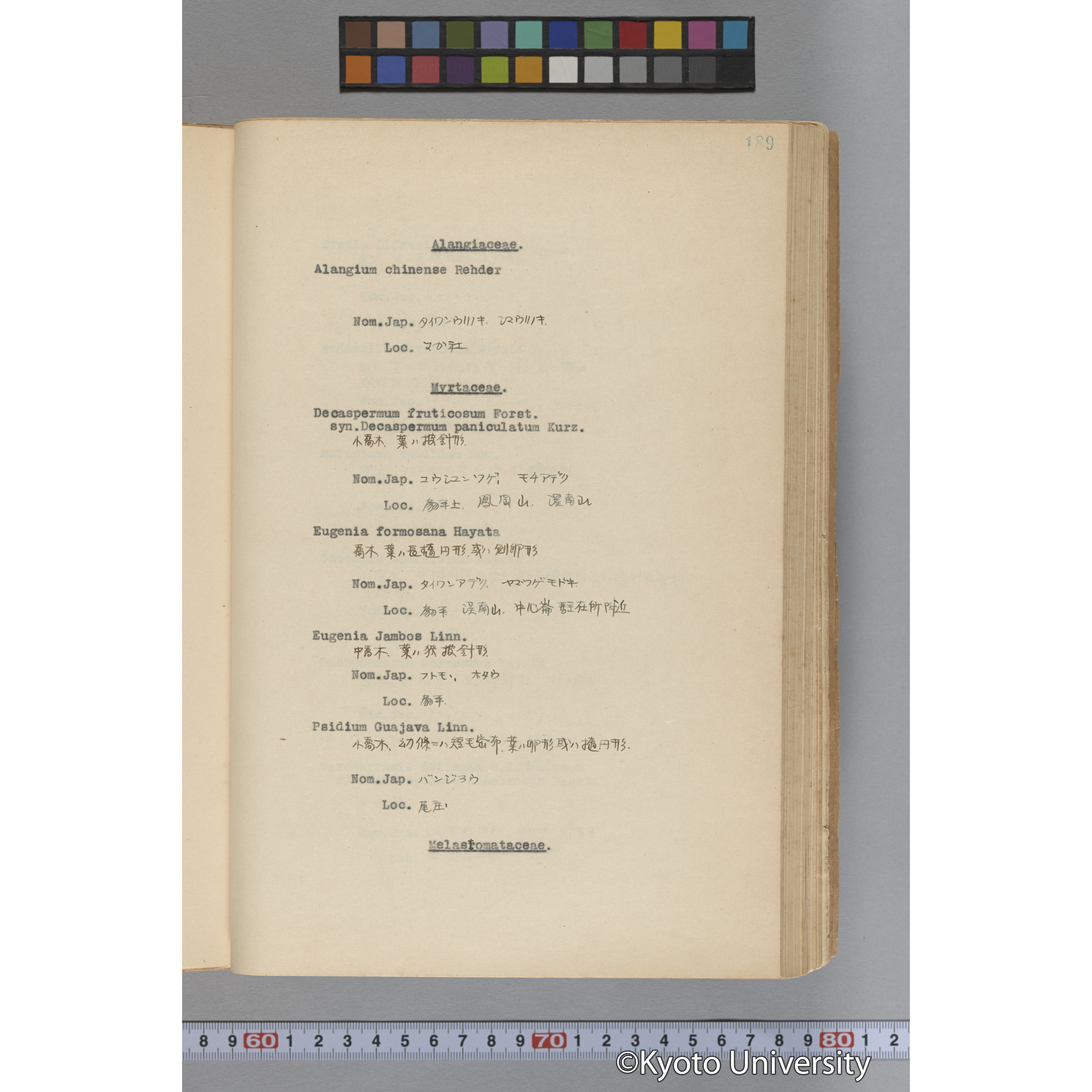 台湾演習林植物調査報告. 第一予報. 1931 植物調査班 (236)