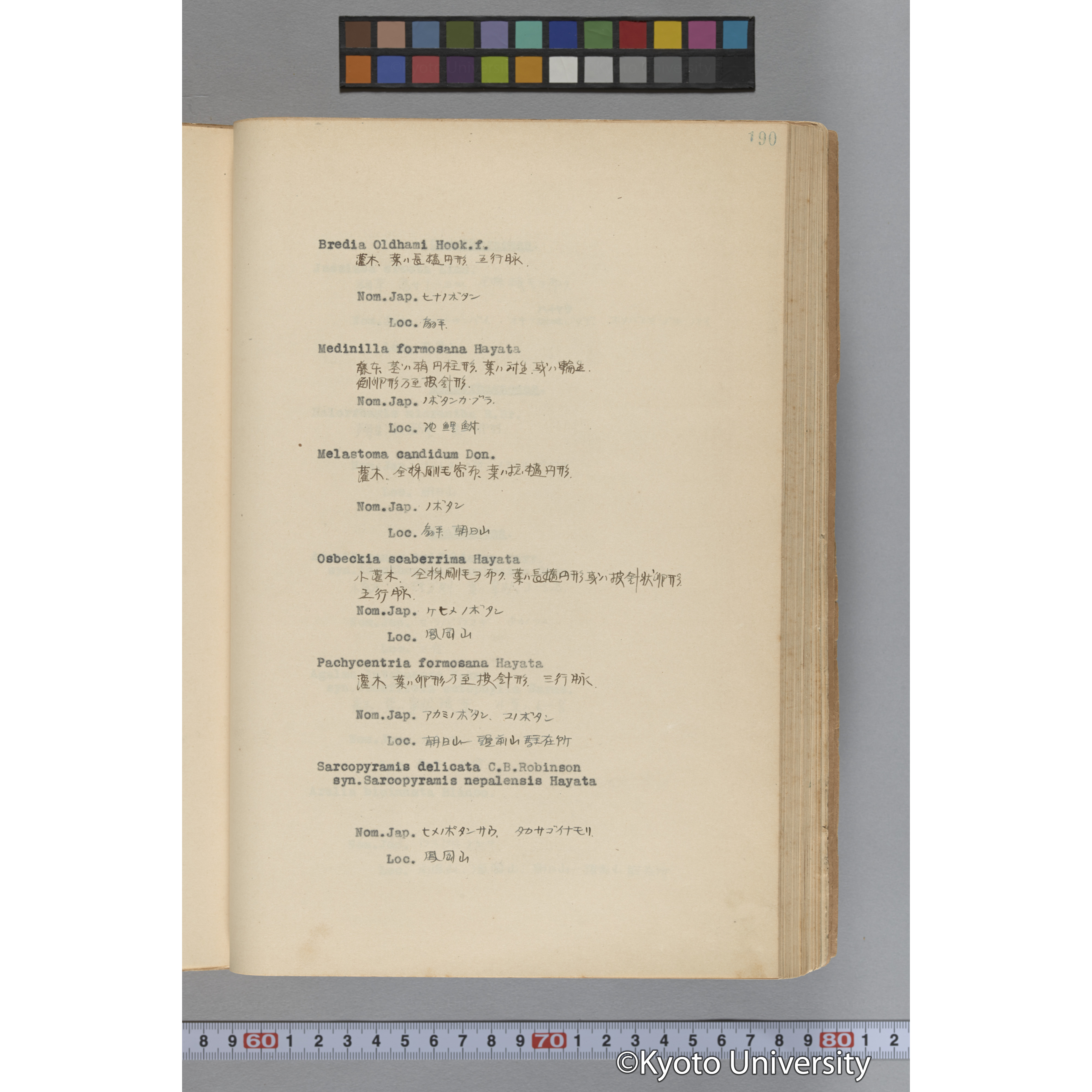 台湾演習林植物調査報告. 第一予報. 1931 植物調査班 (237)