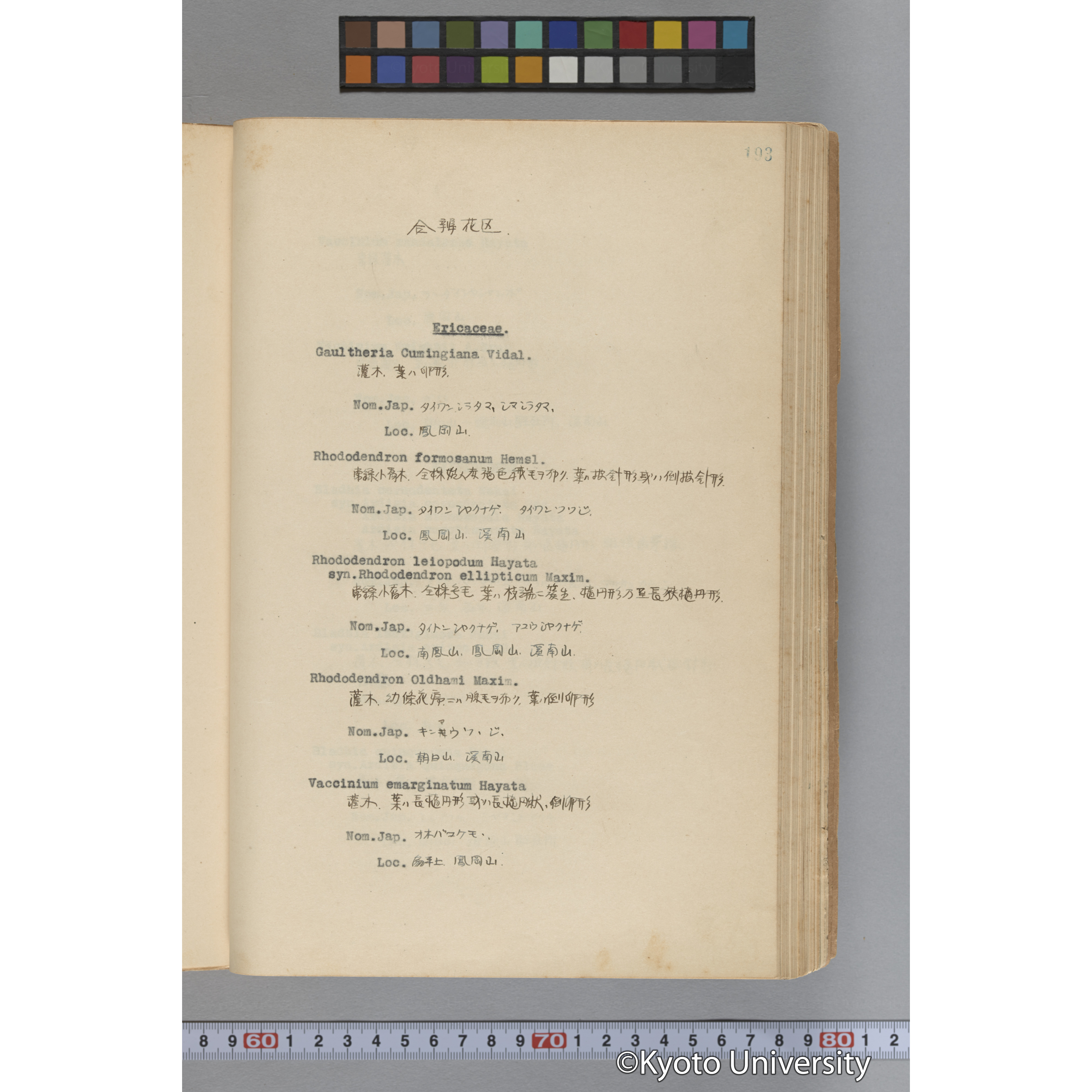 台湾演習林植物調査報告. 第一予報. 1931 植物調査班 (240)