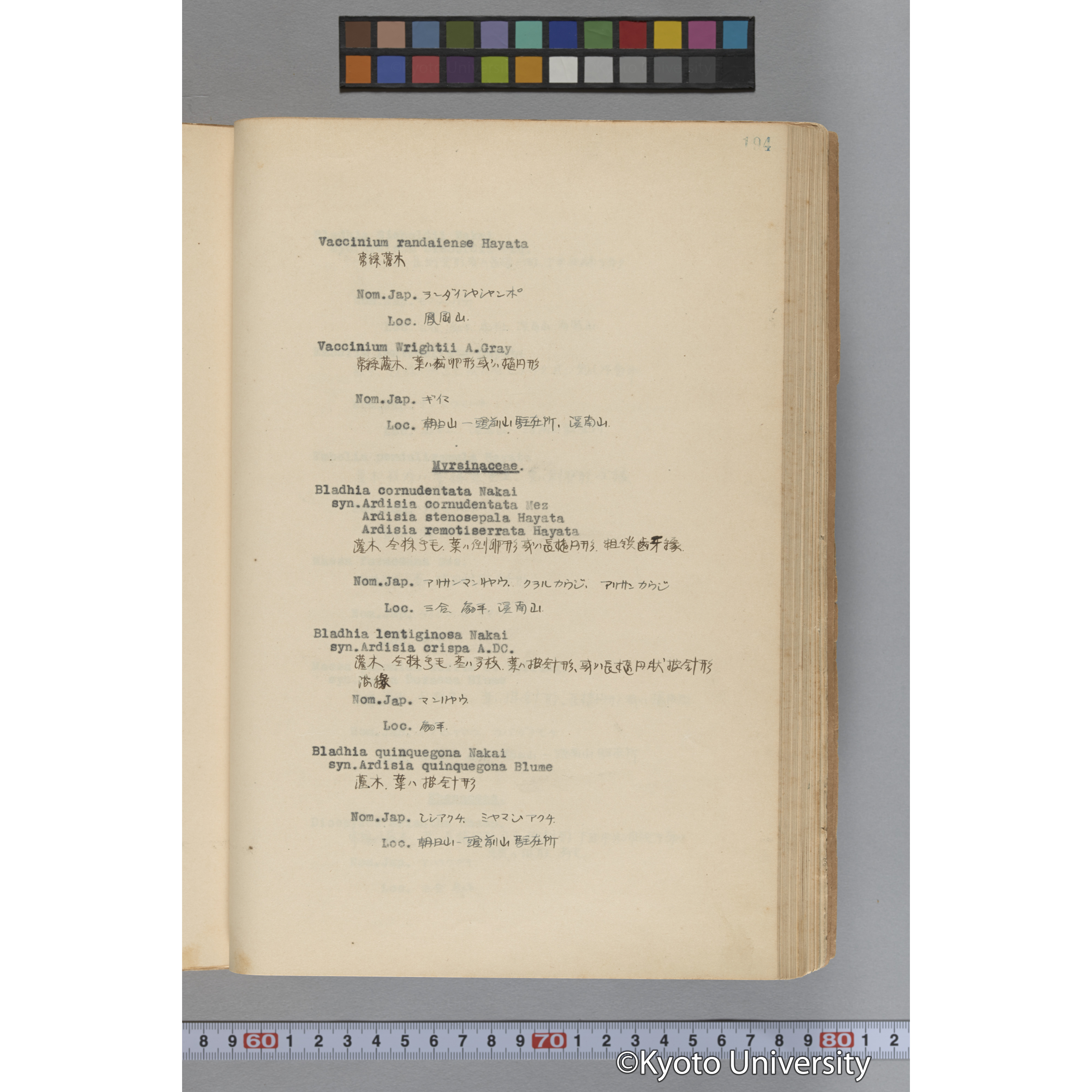 台湾演習林植物調査報告. 第一予報. 1931 植物調査班 (241)